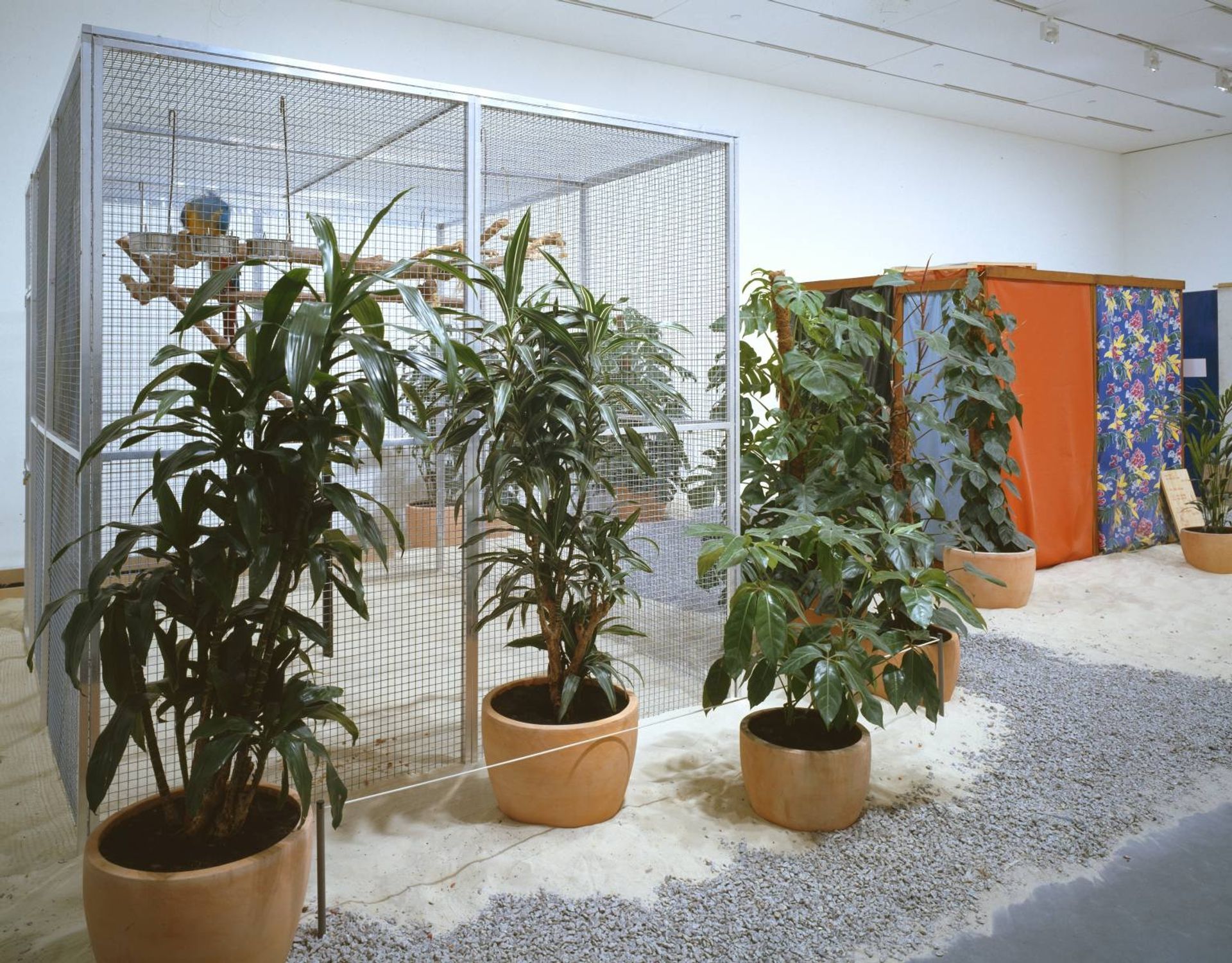 Tropicália, Penetrables PN 2 'Purity is a myth' and PN 3 'Imagetical' by Helio Oiticica