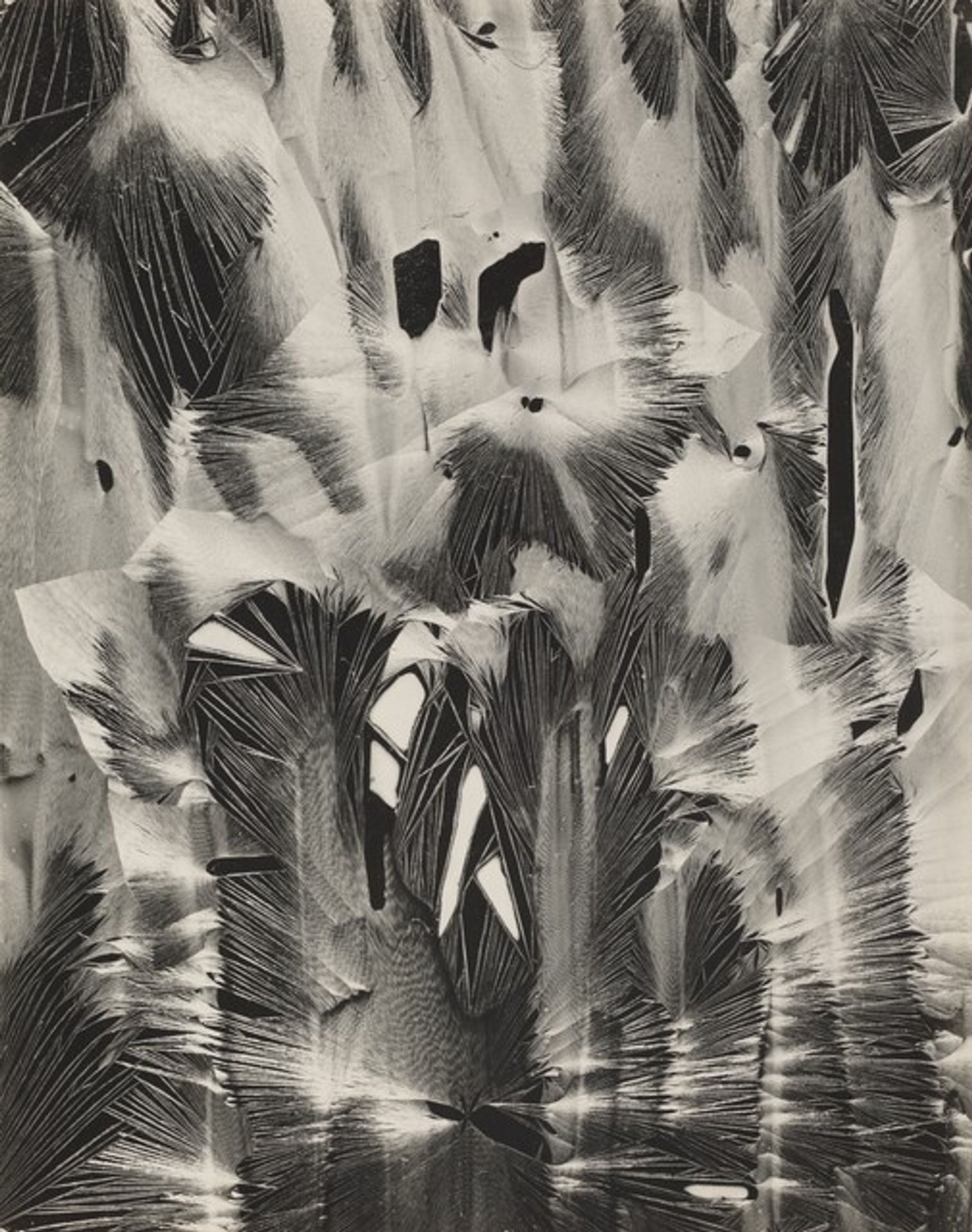 Plastic Paint by Brett Weston