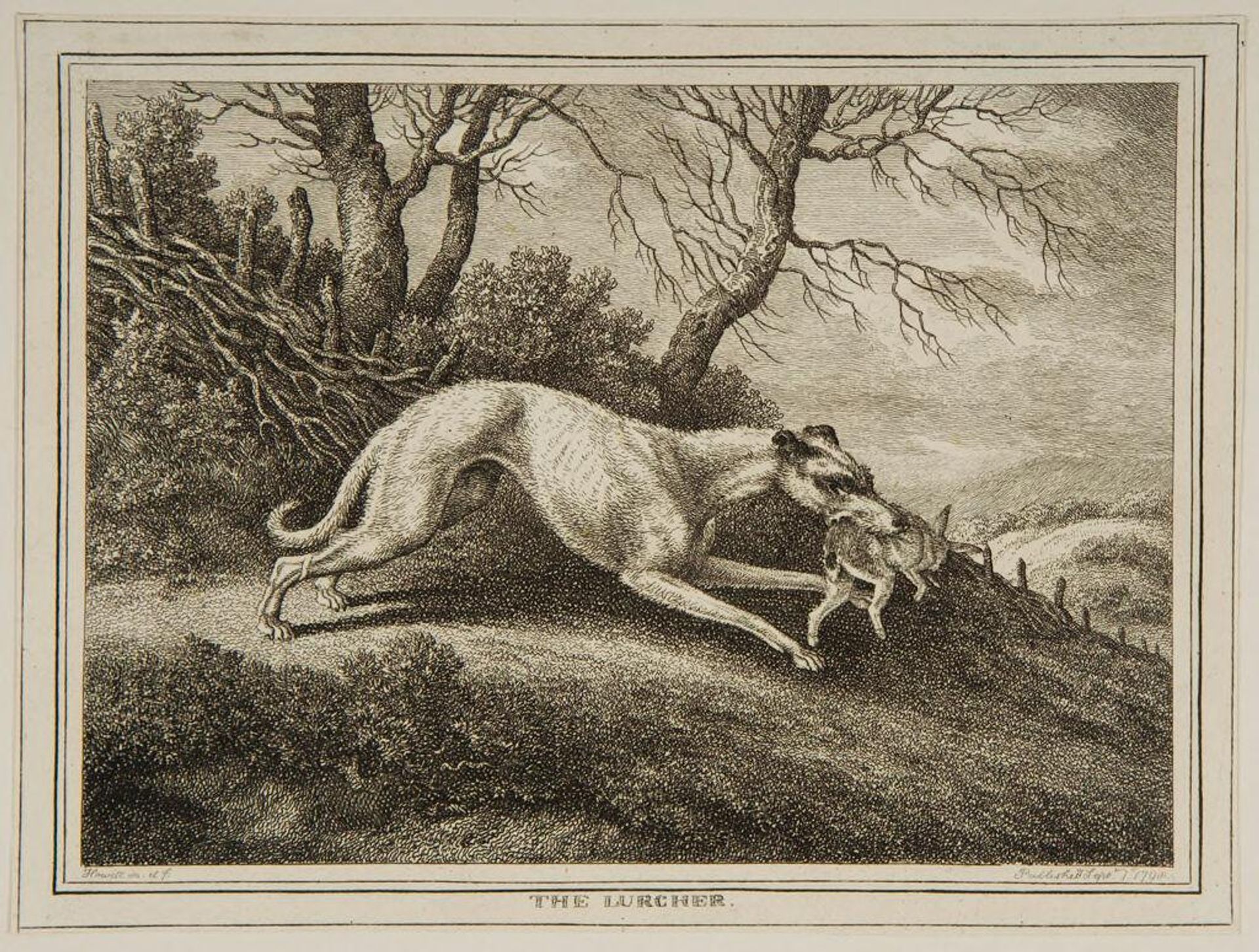 Lurcher by Samuel Howitt