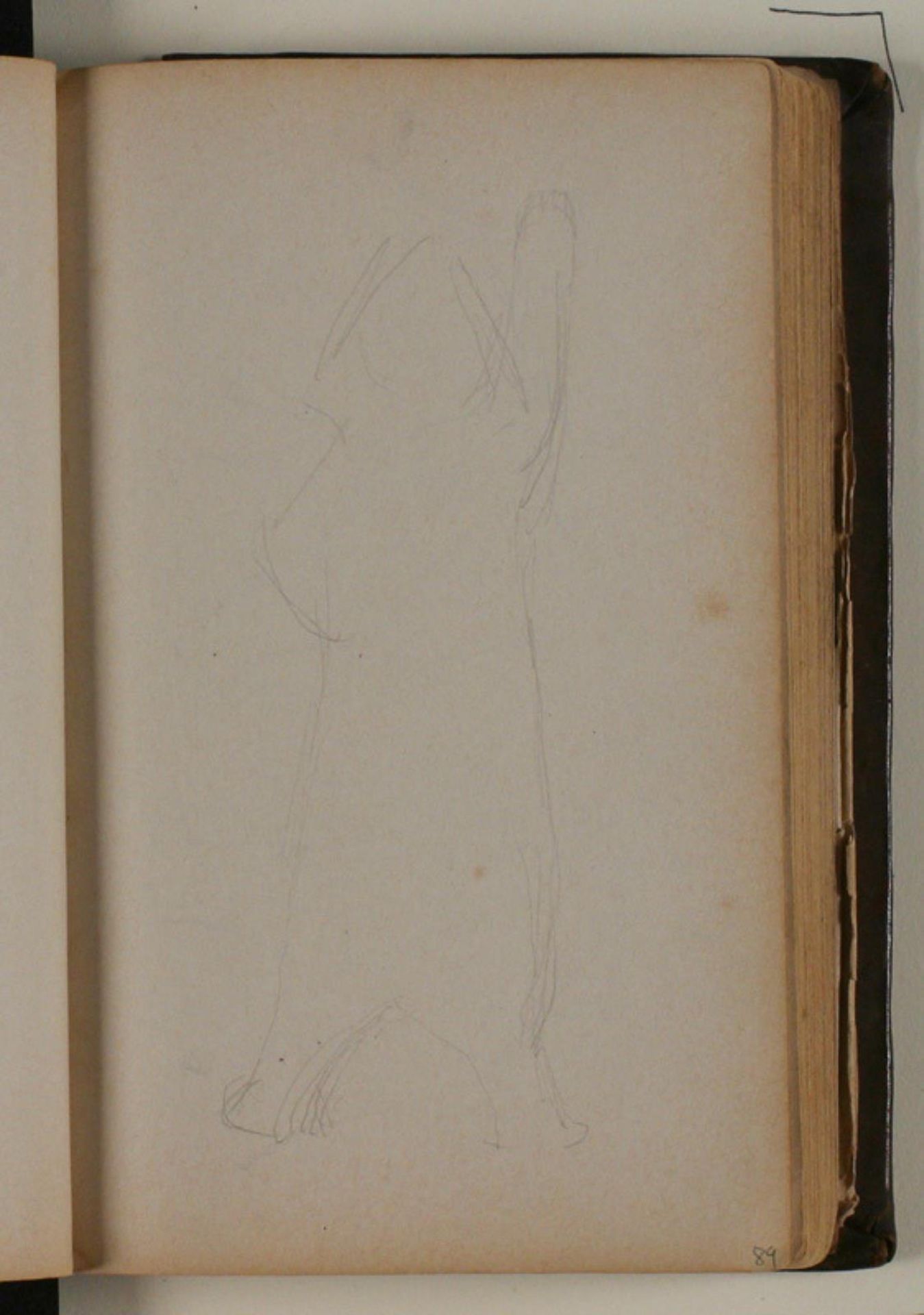 Studie af isbjørn by Niels Larsen Stevns