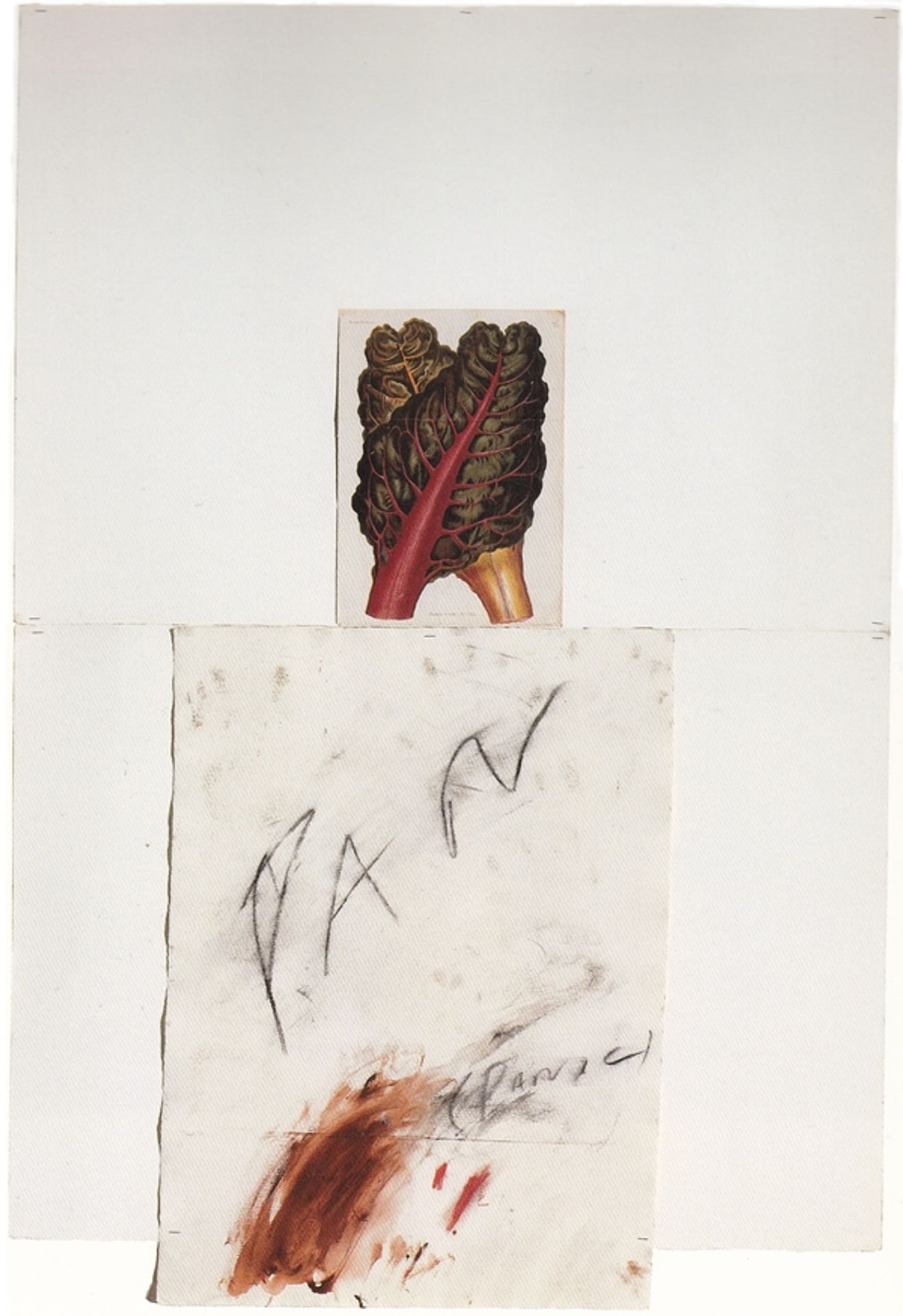 Pan by Cy Twombly