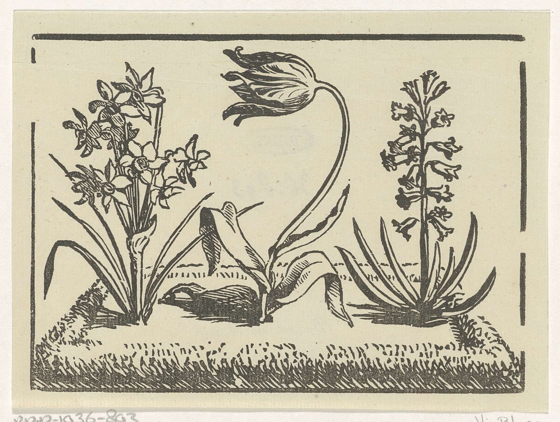 Kleine tuin met een tulp, een narcis en een hyacint by Dirck de Bray