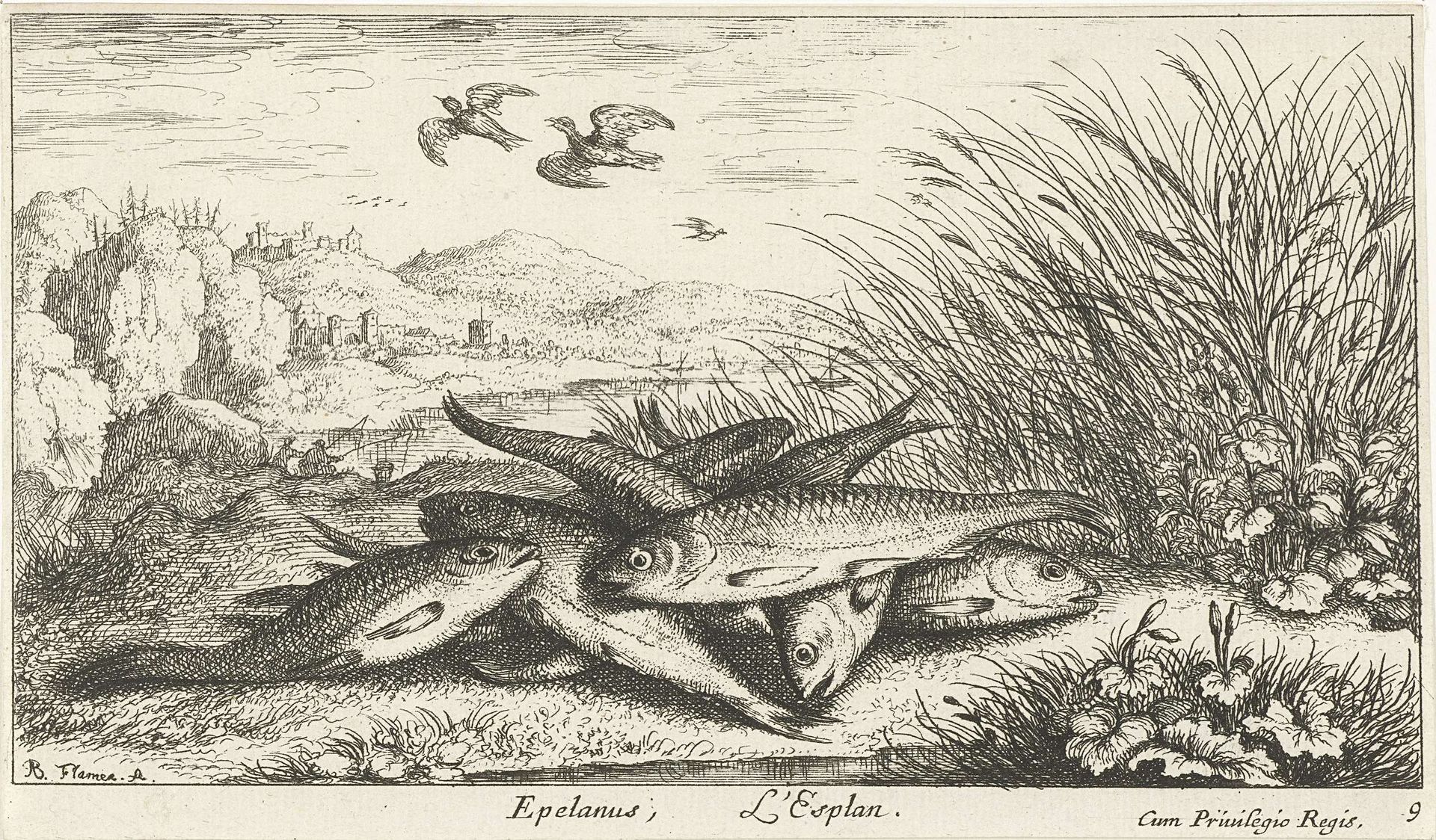 Vissen op een rivieroever by Albert Flamen