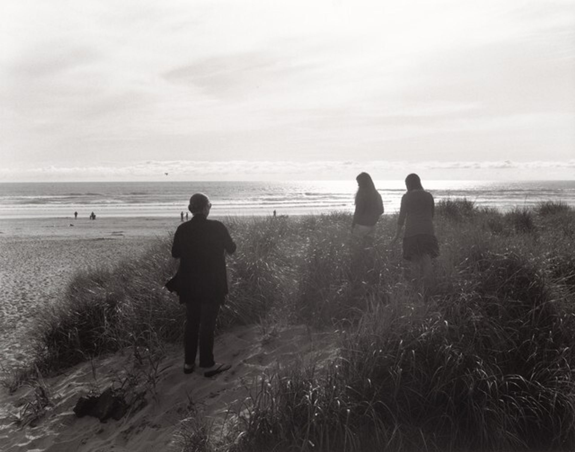 The Sea Beach by Robert Adams