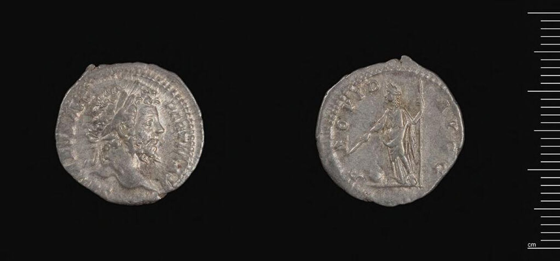 Denarius of Septimius Severus by Septimius Severus