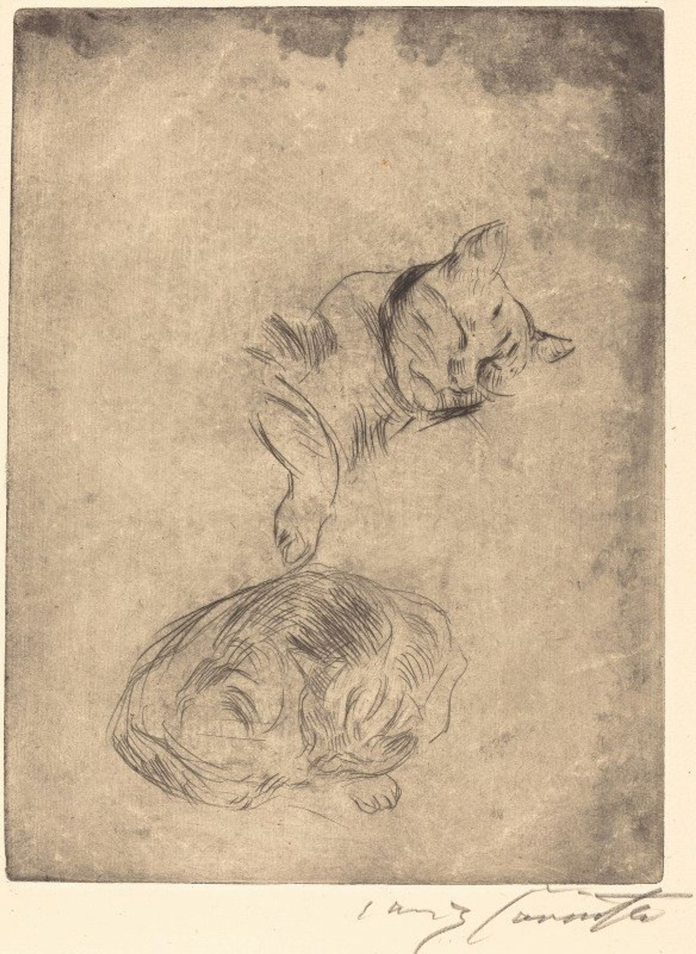 Cats by Lovis Corinth