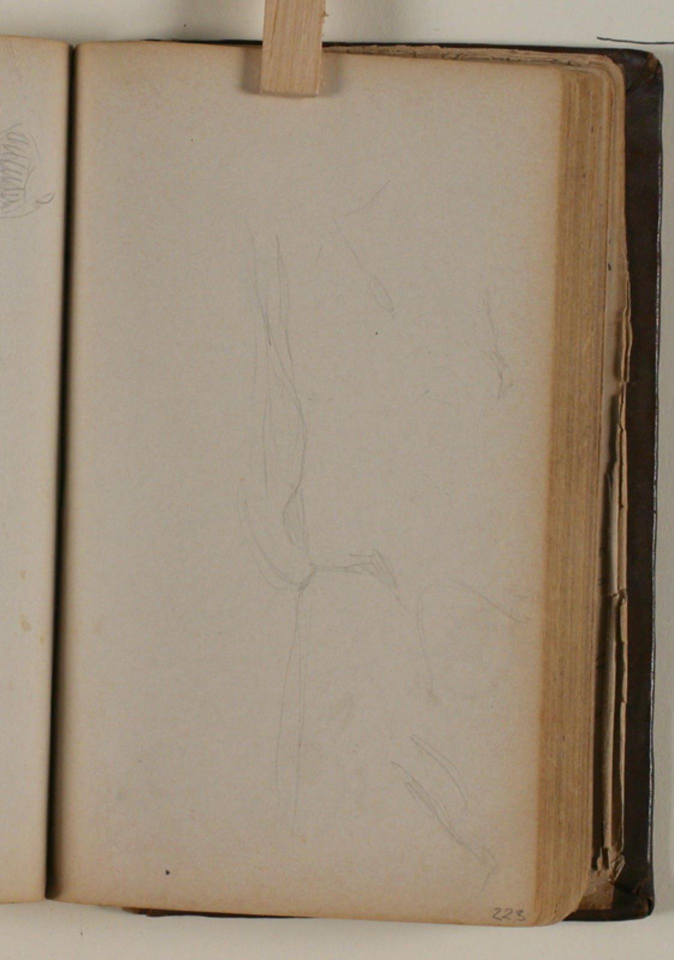 Studier af fugle by Niels Larsen Stevns