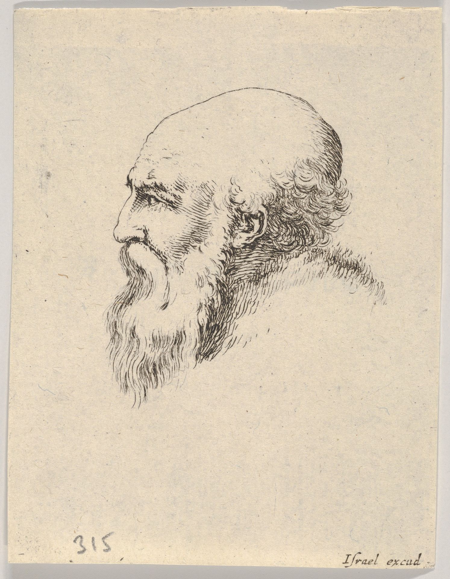 Plate 8: head of an old bald man with a long beard, facing left in profile, from 'Various heads and figures' (Diverses têtes et figures) by Stefano della Bella