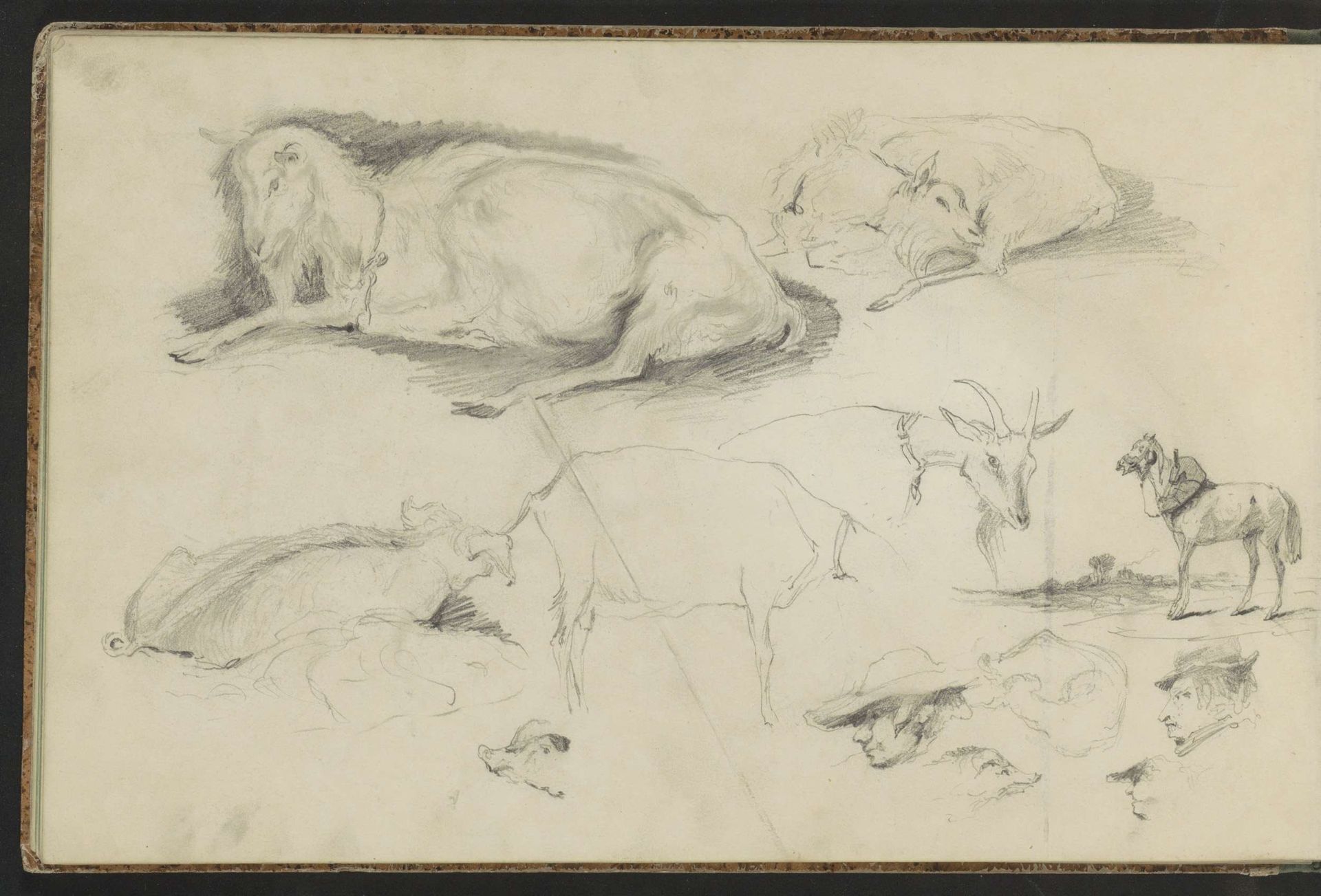 Geiten, een paard en mannenkoppen by Johannes Tavenraat