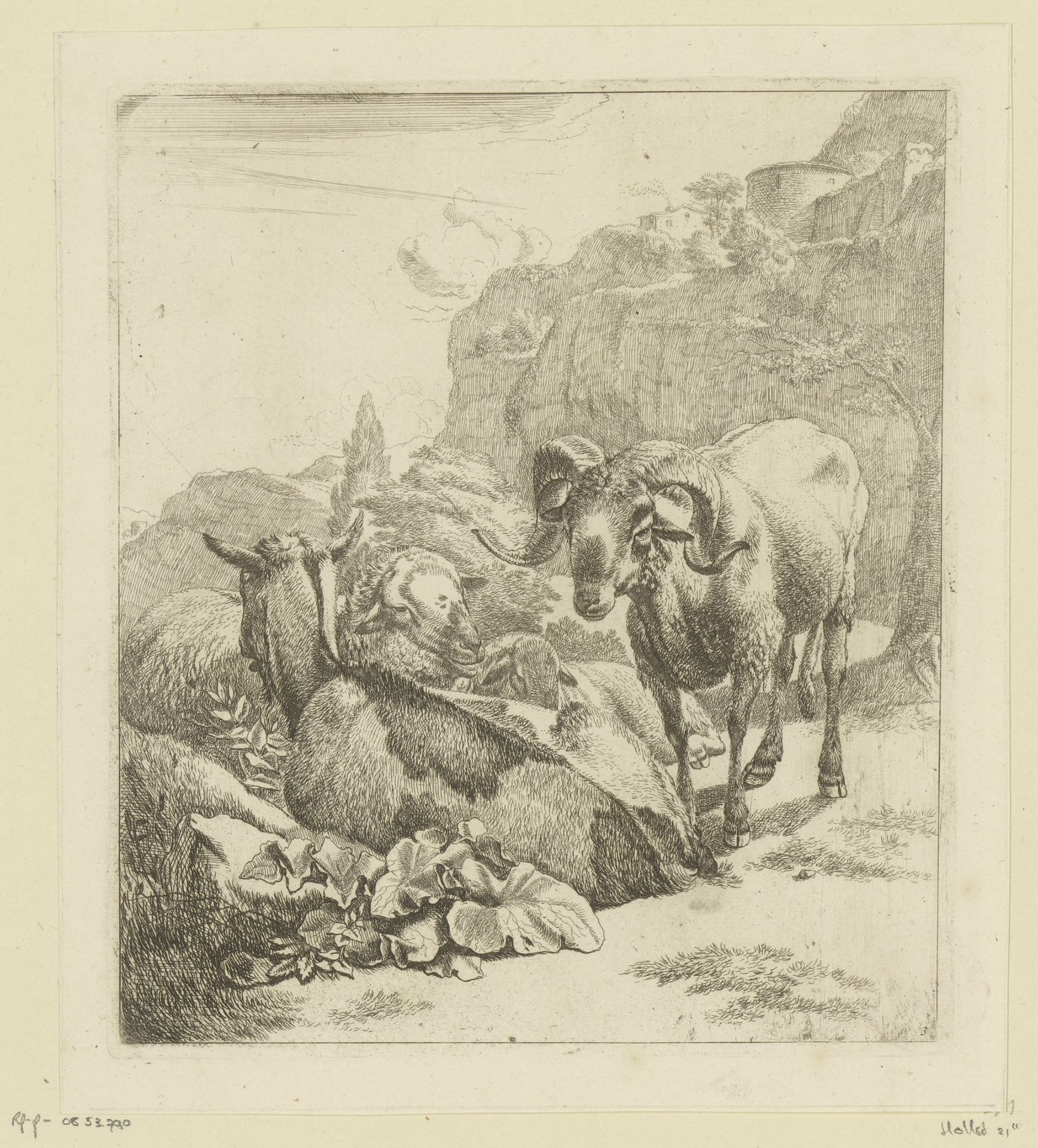 Staand ram, liggende geit en twee schapen by Johann Heinrich Roos