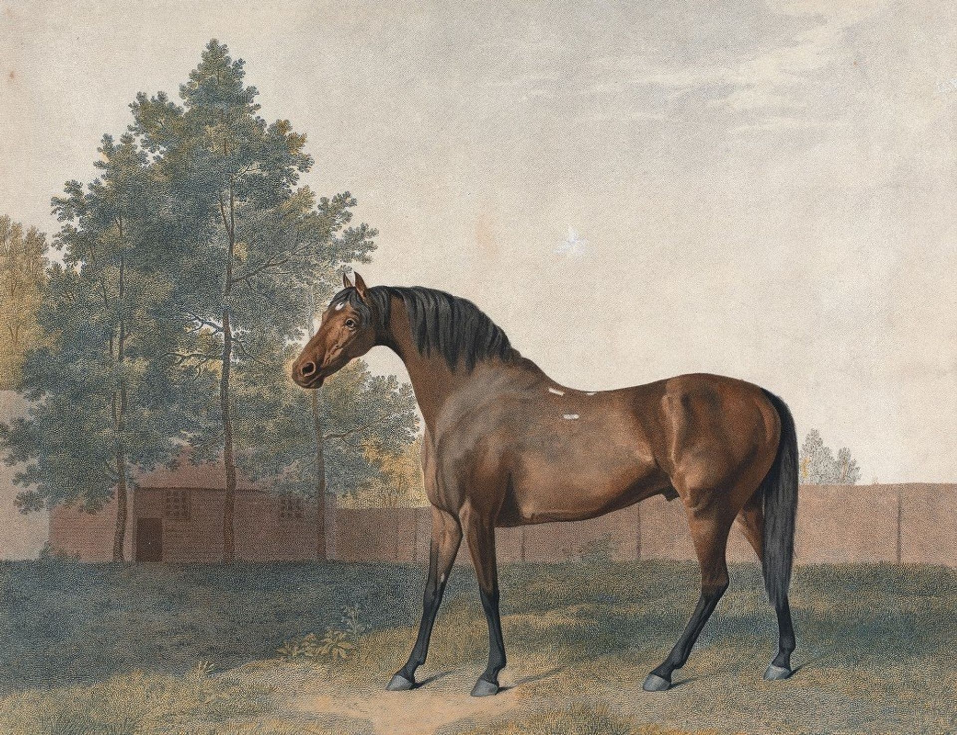 Anvil by George Stubbs