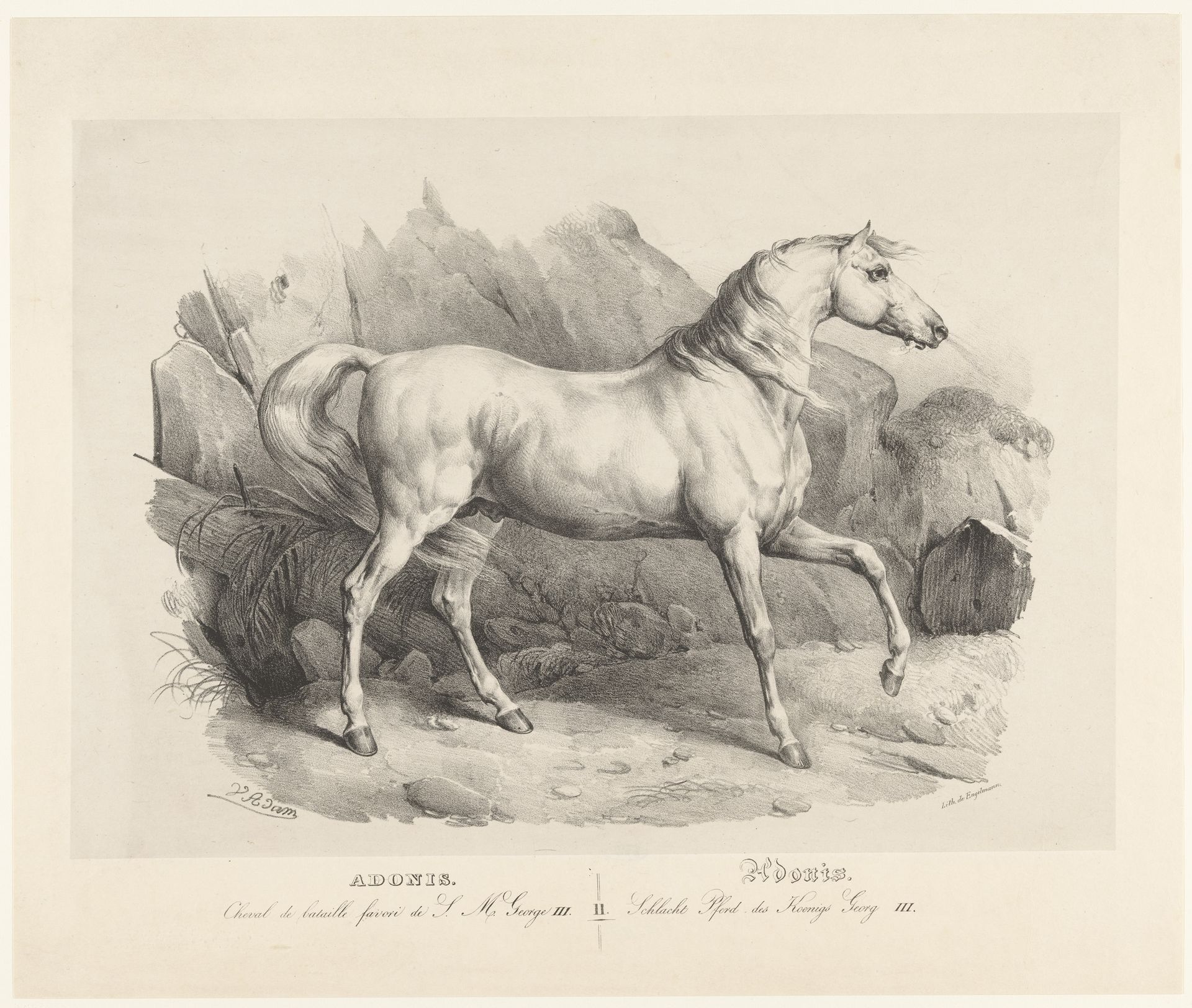 Adonis, het favoriete oorlogspaard van koning George III by Victor Adam