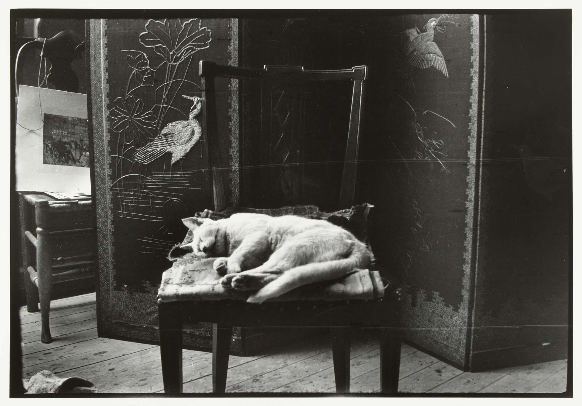 Kat op een stoel in Breitner's atelier in Amsterdam by George Hendrik Breitner