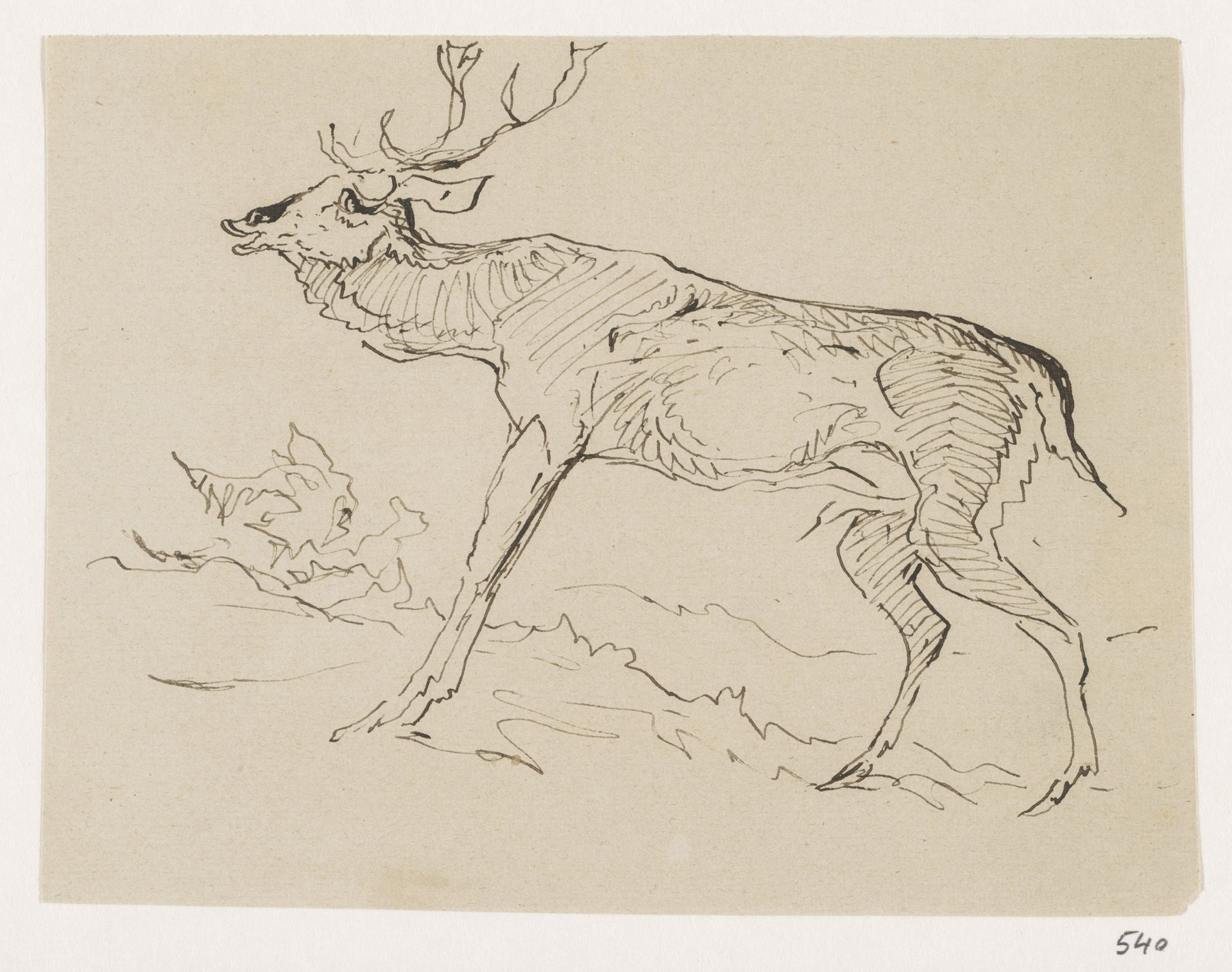 Hert by Johannes Tavenraat