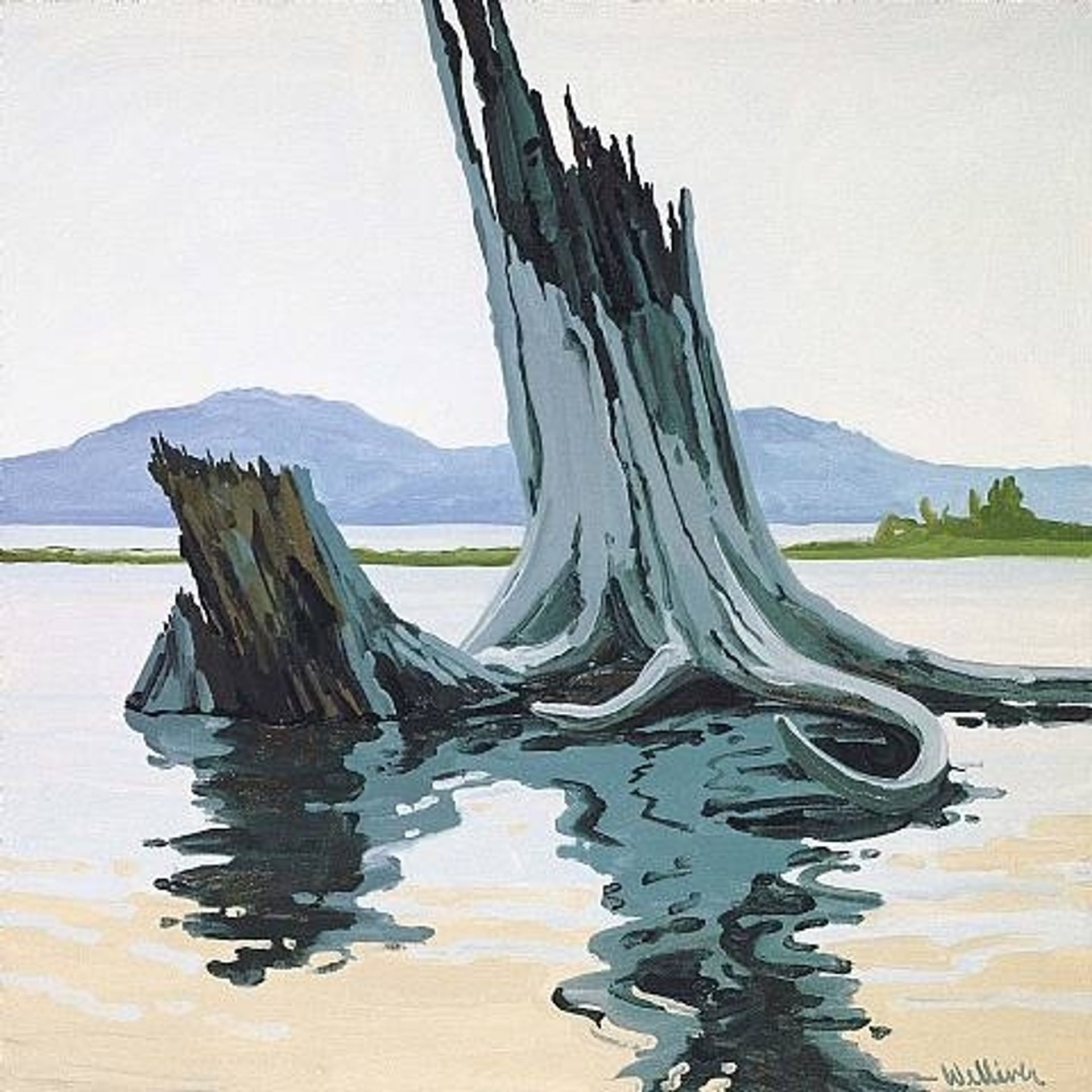 Stumps and Allagash by Neil Welliver