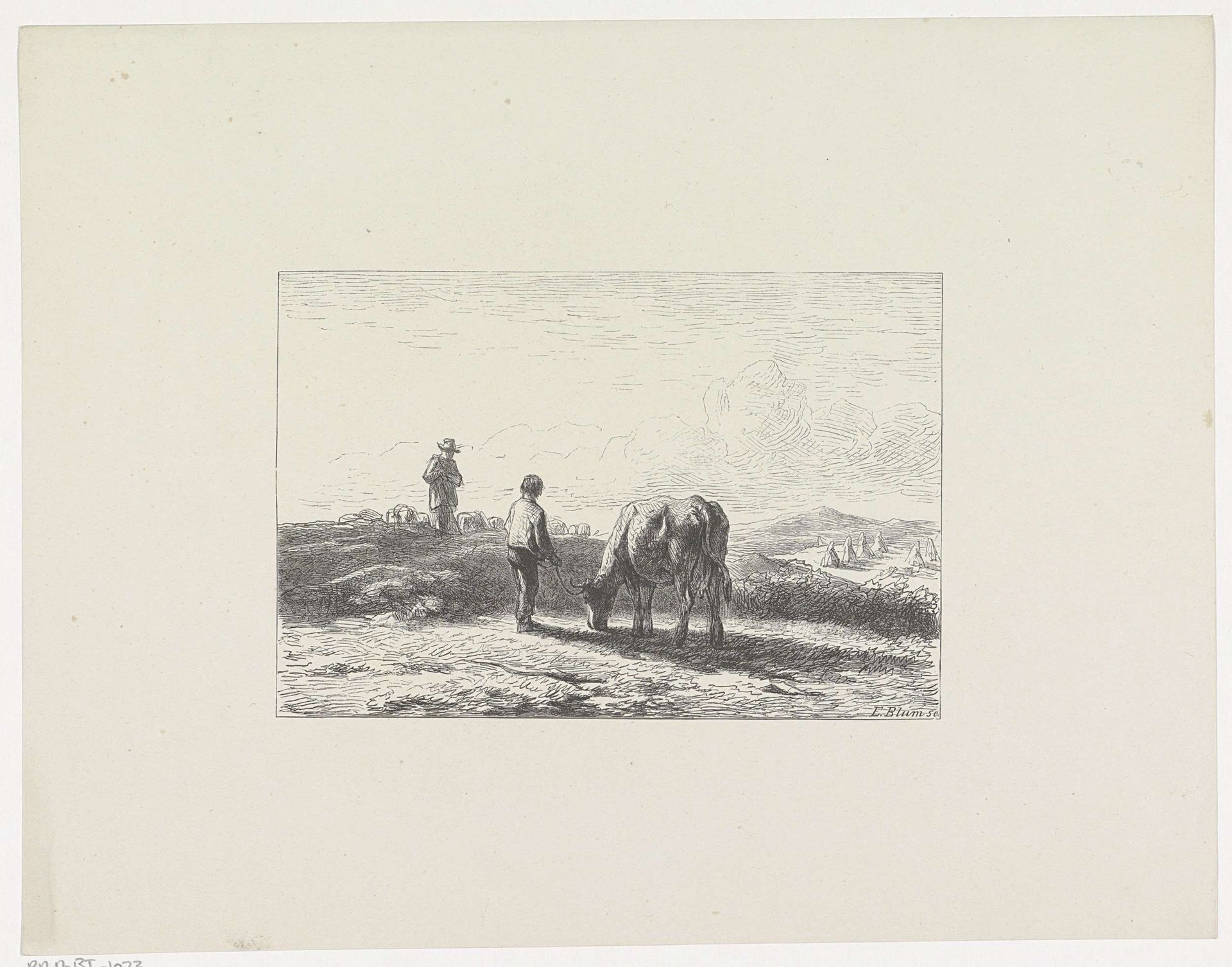 Jongen met een grazende koe aan een touw op het land by E. Blum