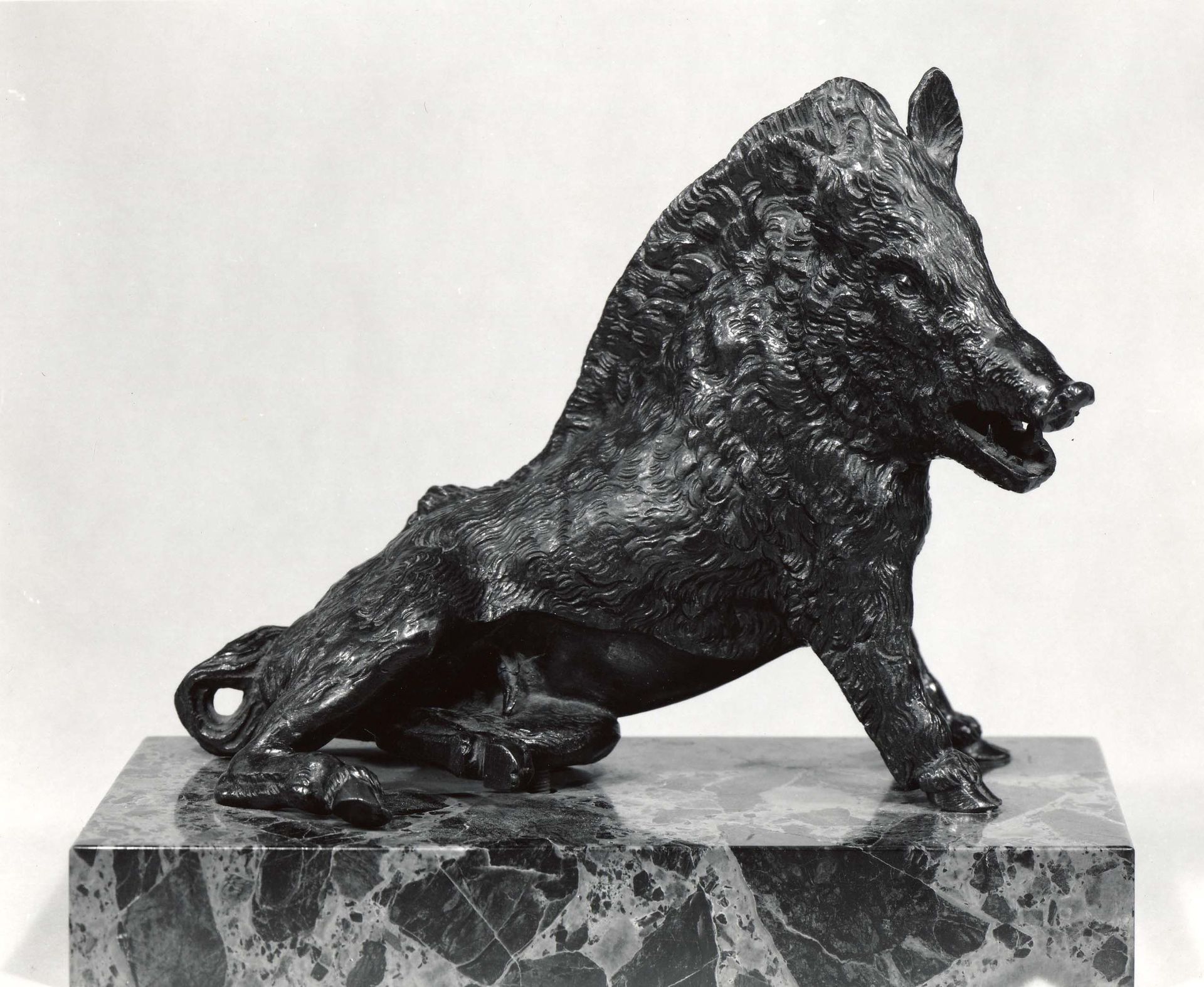 Crouching Boar (Il Porcellino) by Pietro Tacca