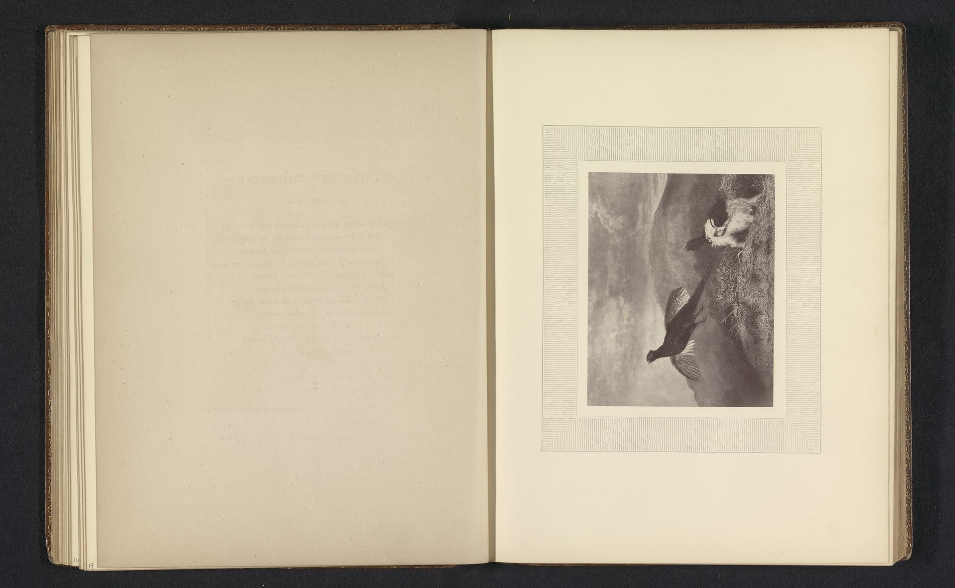 Fotoreproductie van een prent naar een schilderij met een hond en een fazant door A. Cooper by Anonymous