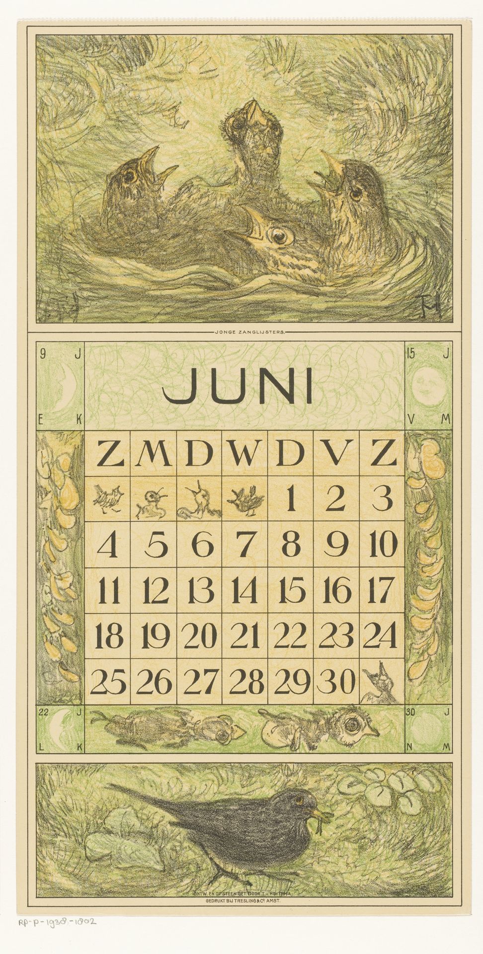 Kalenderblad juni met jonge vogels in een nest by Theo van Hoytema