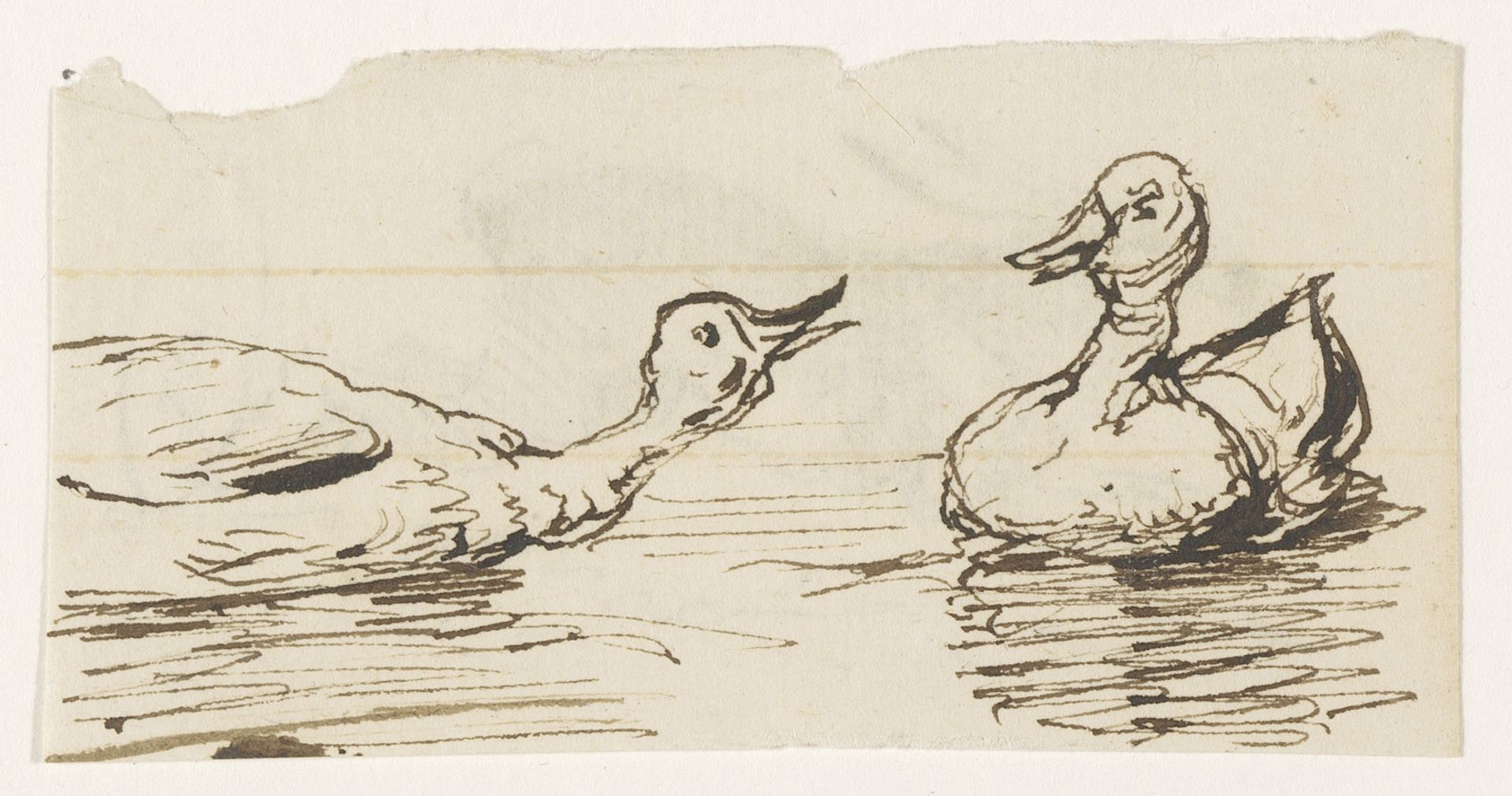 Twee eenden by Johannes Tavenraat
