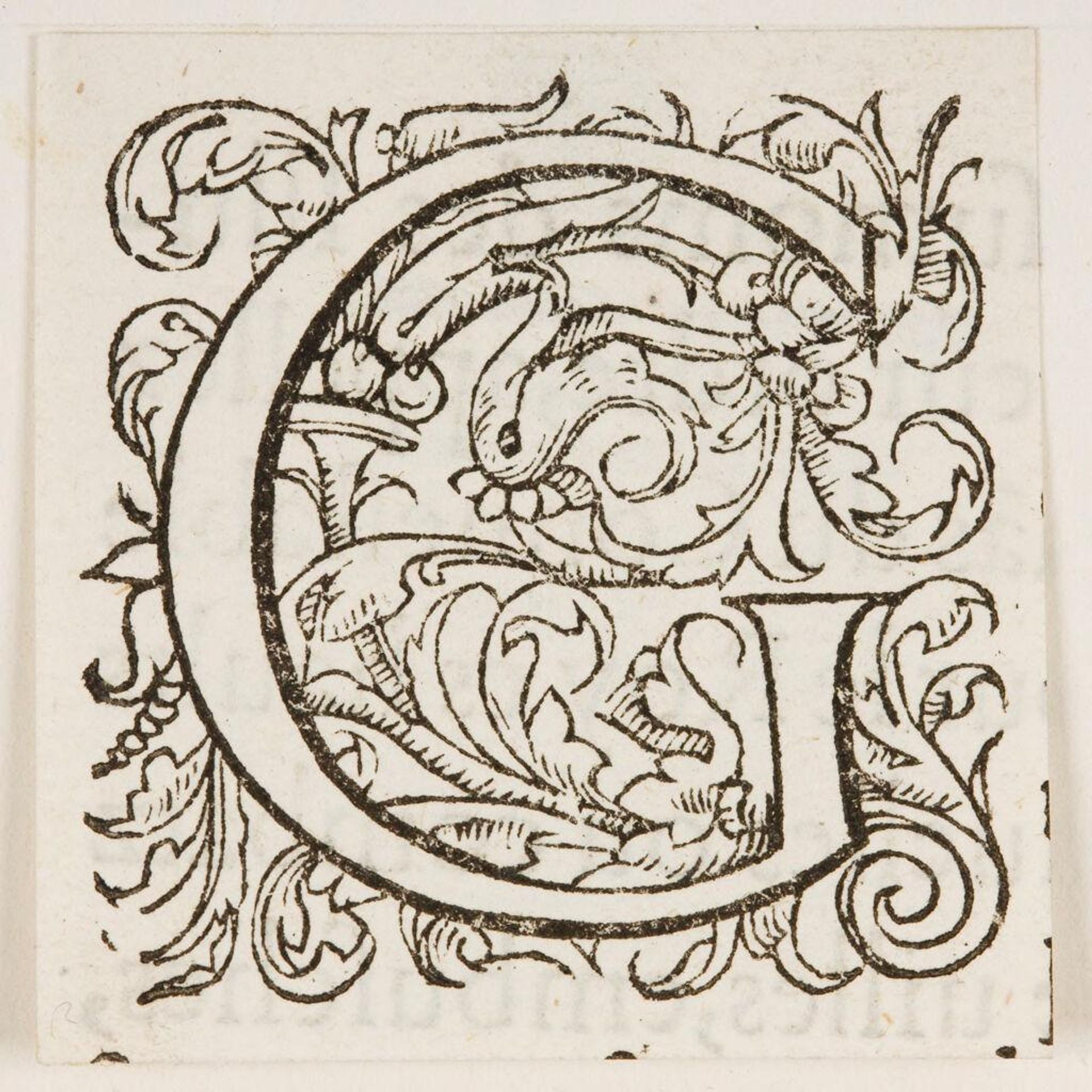 Letter G by Anonymous