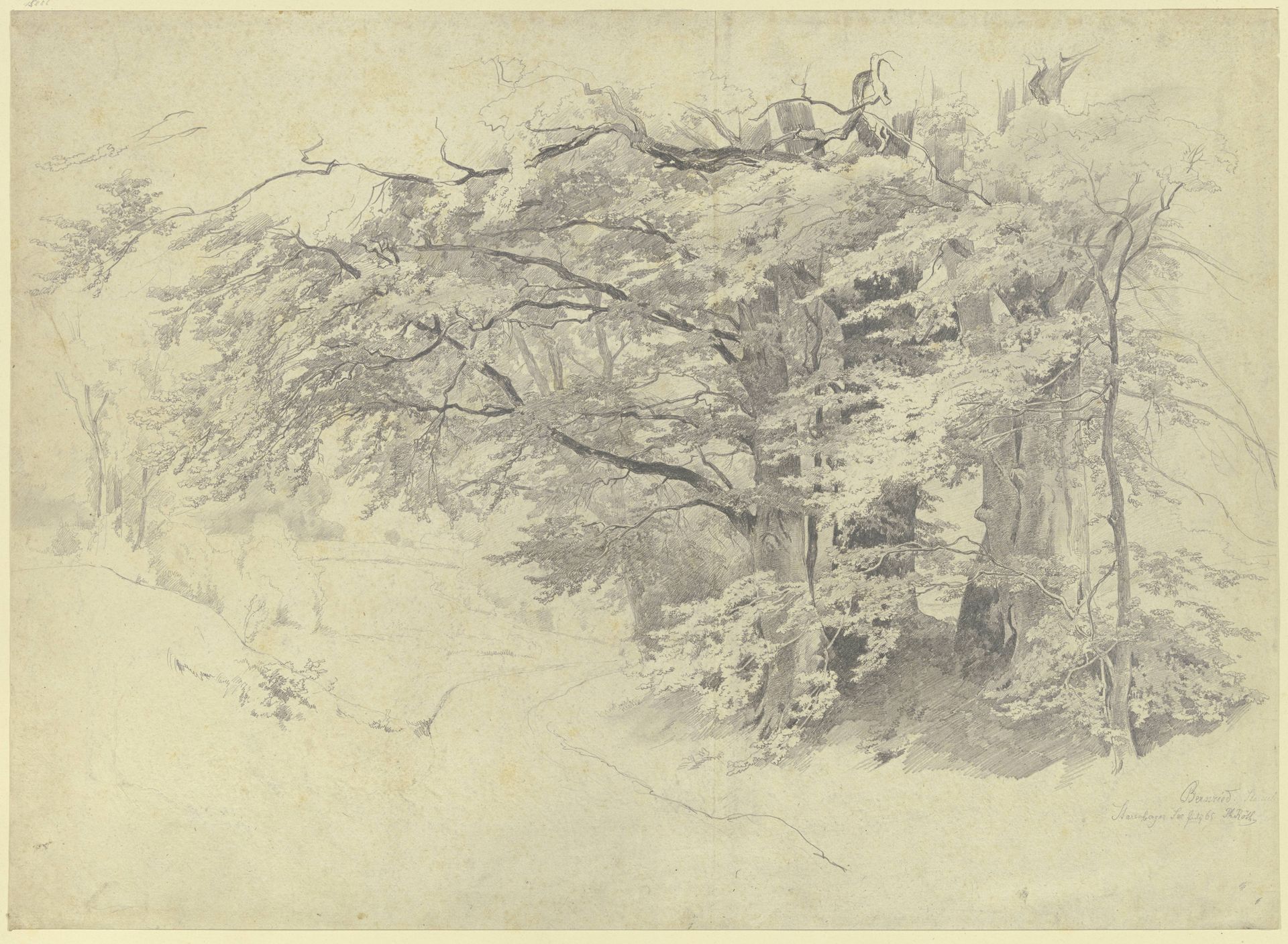 Forest near Bernried by Philipp Röth