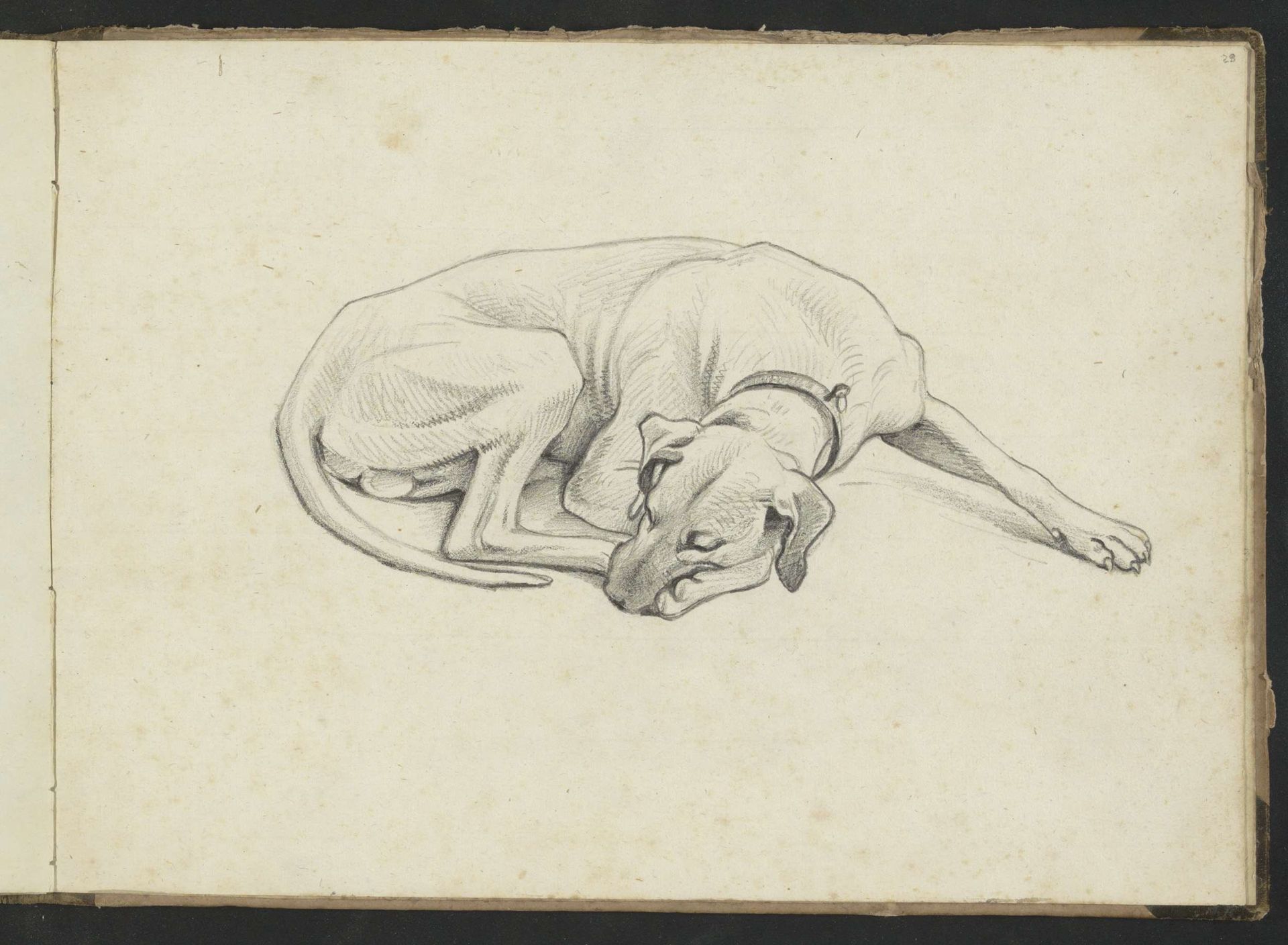 Slapende hond by Abraham Teerlink