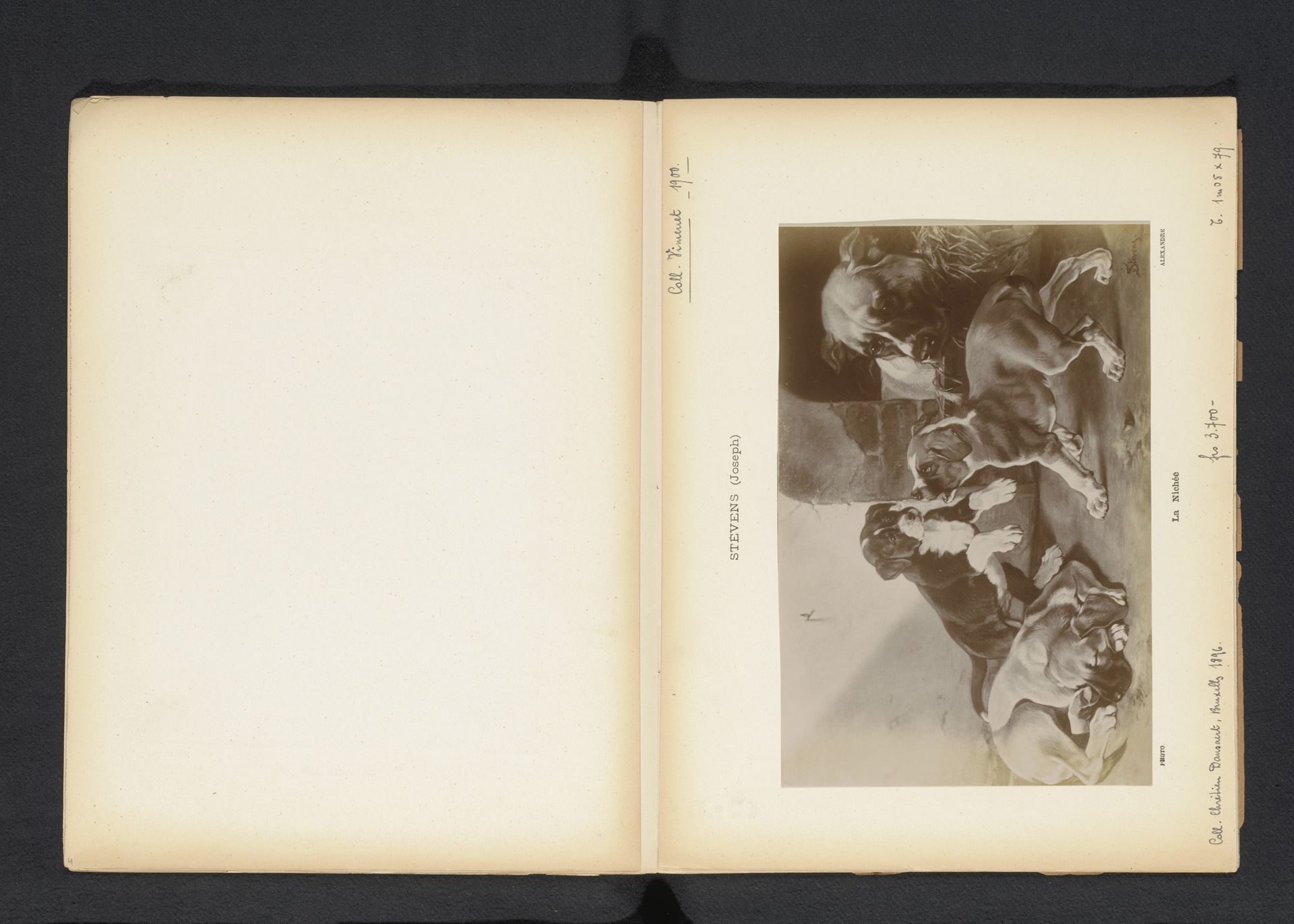 Fotoreproductie van een schilderij van een nest honden door Joseph Stevens by Alexandre (fotograaf)