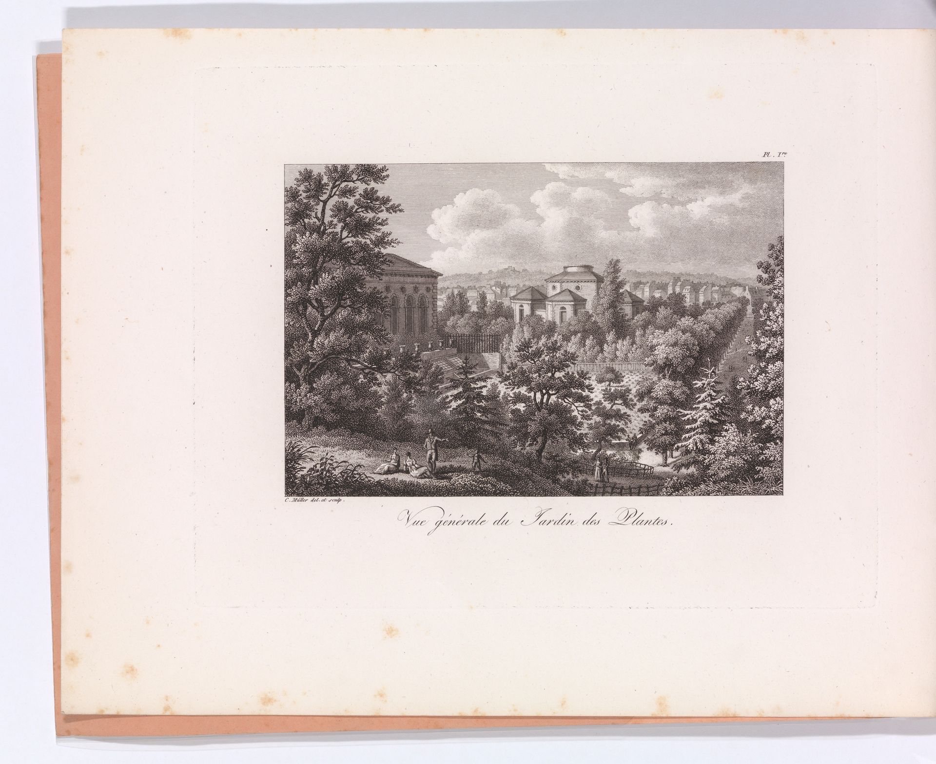 Vues et description du jardin des plantes by Edmond Hédouin