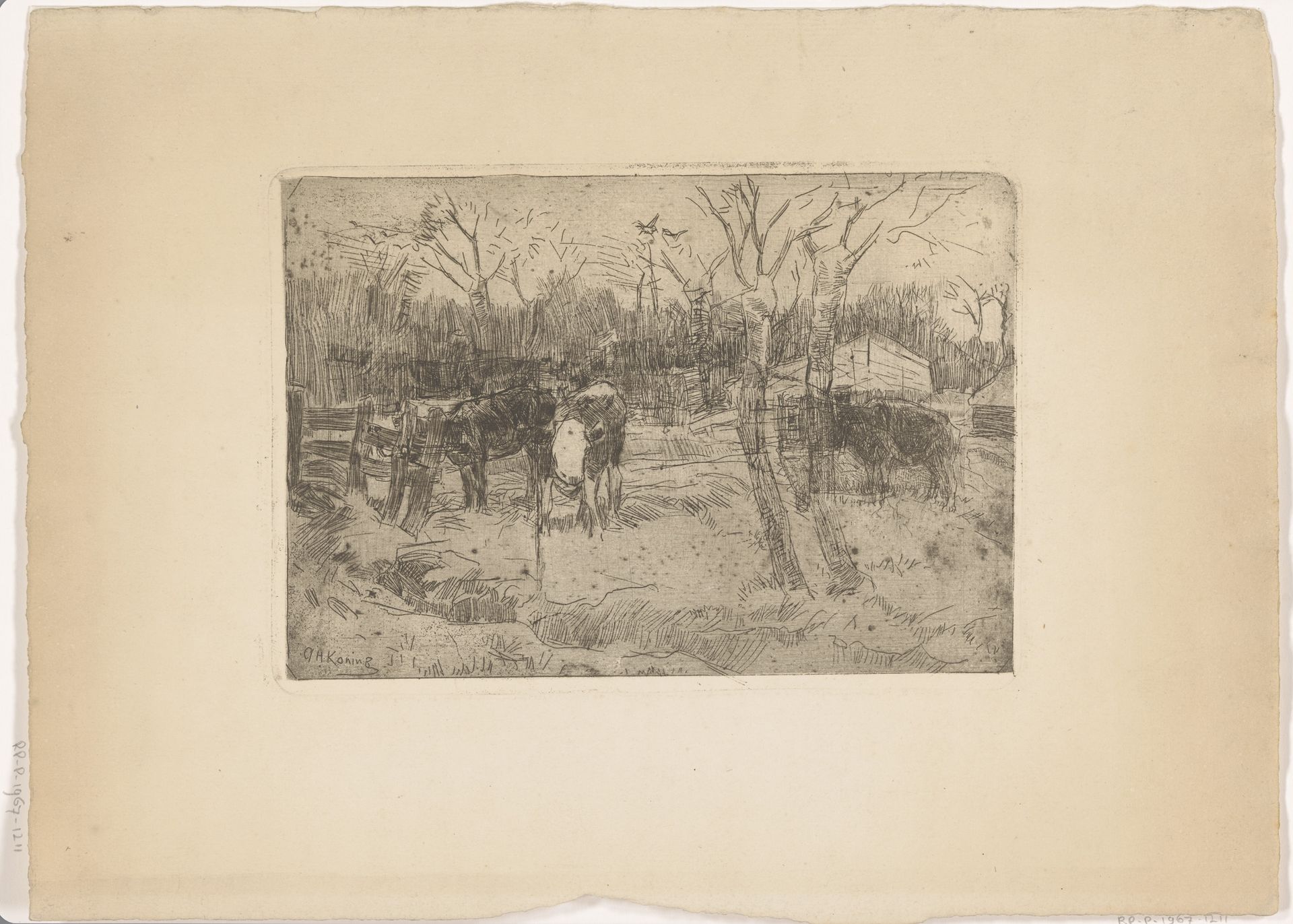 Weiland met bomen en koeien by Arnold Koning