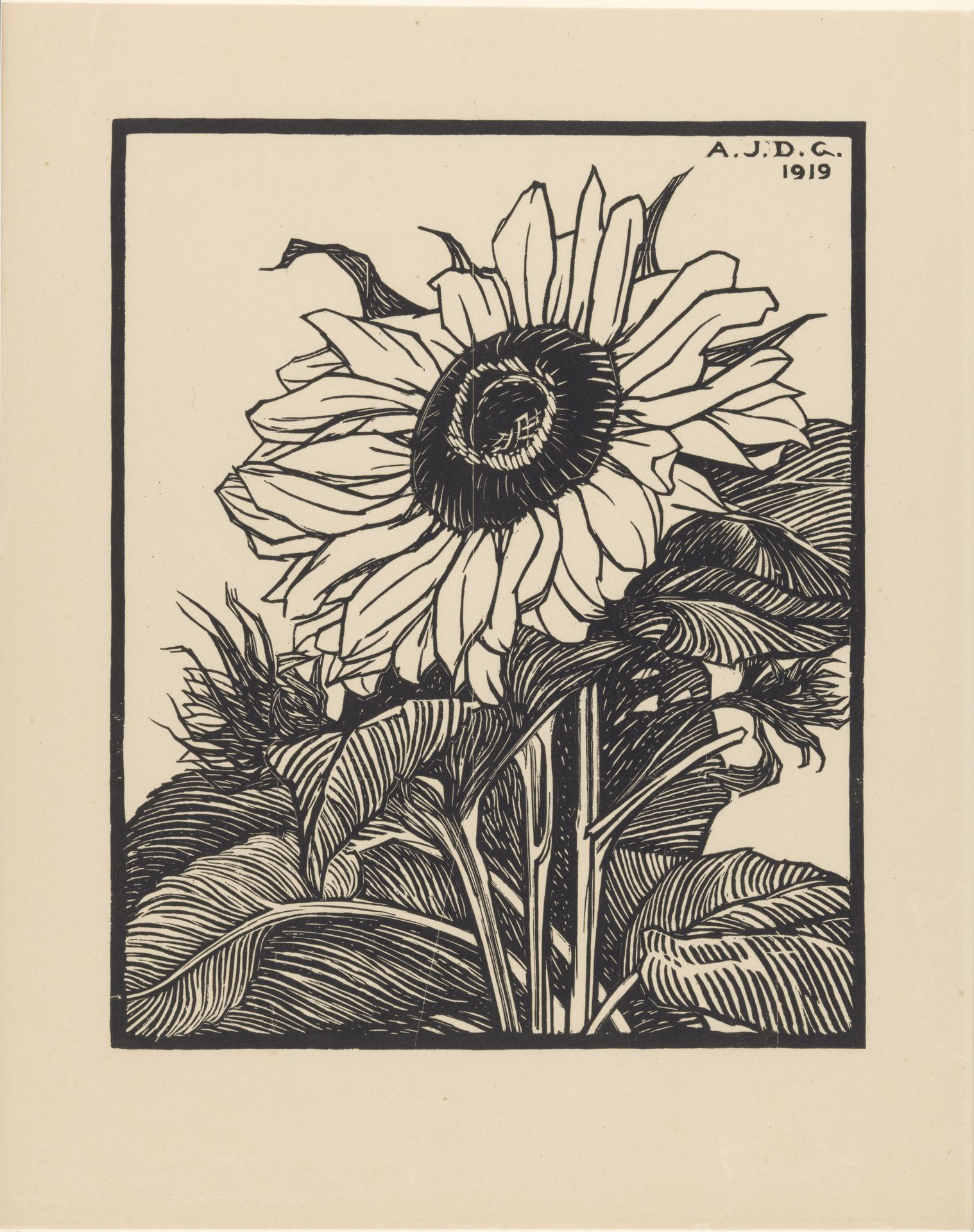 Zonnebloem by Julie de Graag