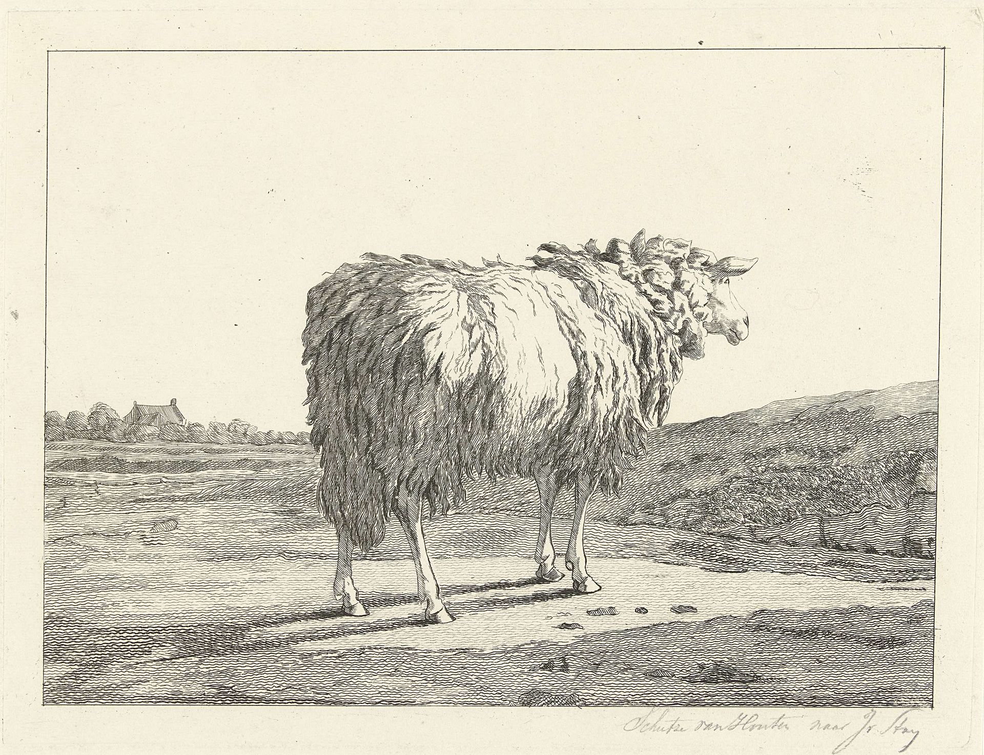 Schaap in een landschap by Christiaan Godfried Schutze van Houten