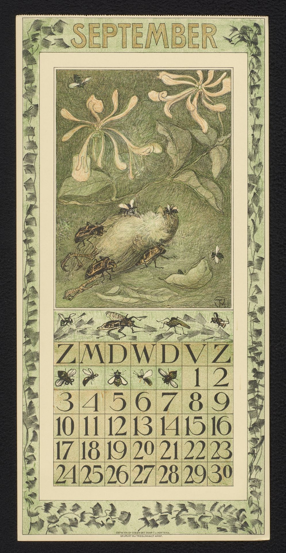 Kalenderblad voor september 1911 met kevers en een dode mus by Theo van Hoytema