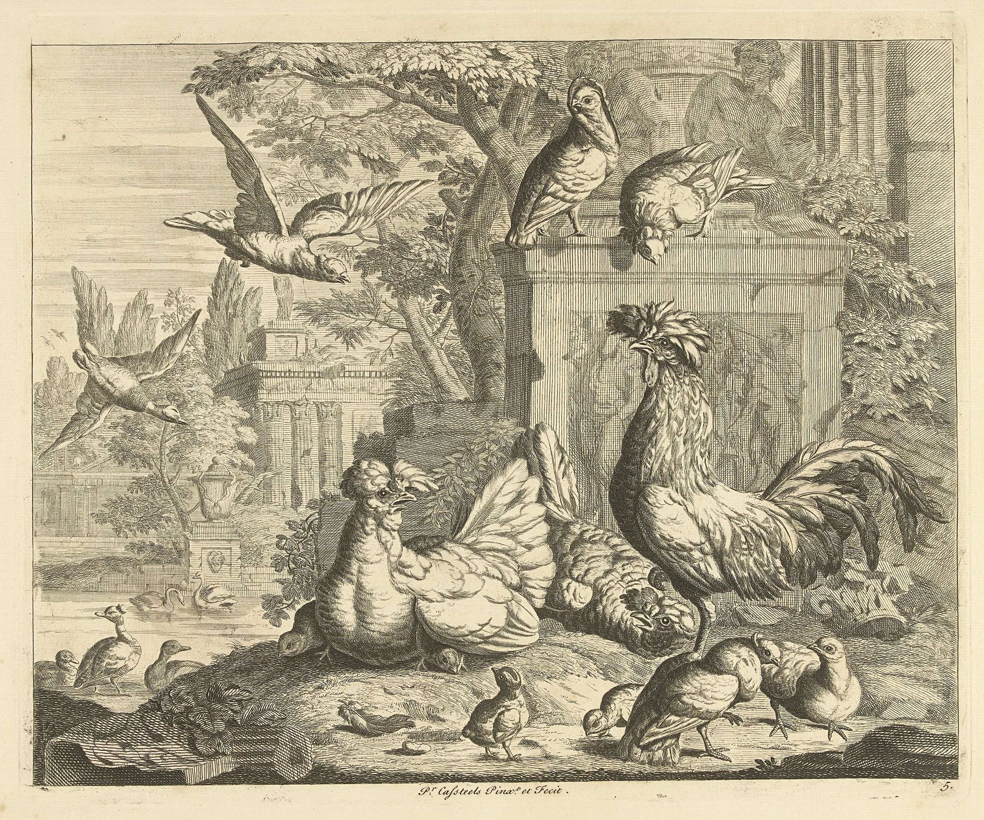 Haan, hen met kuikentjes en andere vogels in een tuin met antieke ruïnes by Peter (III) Casteels