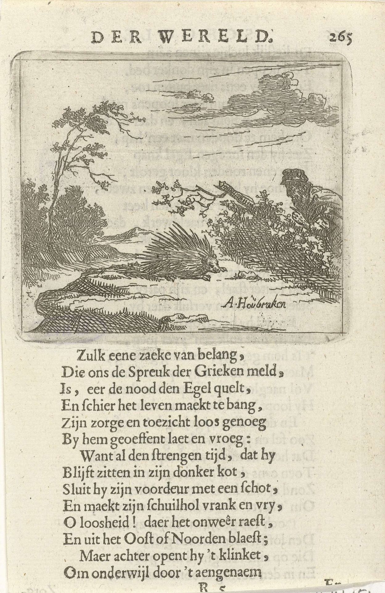 Man besluipt een stekelvarken by Arnold Houbraken