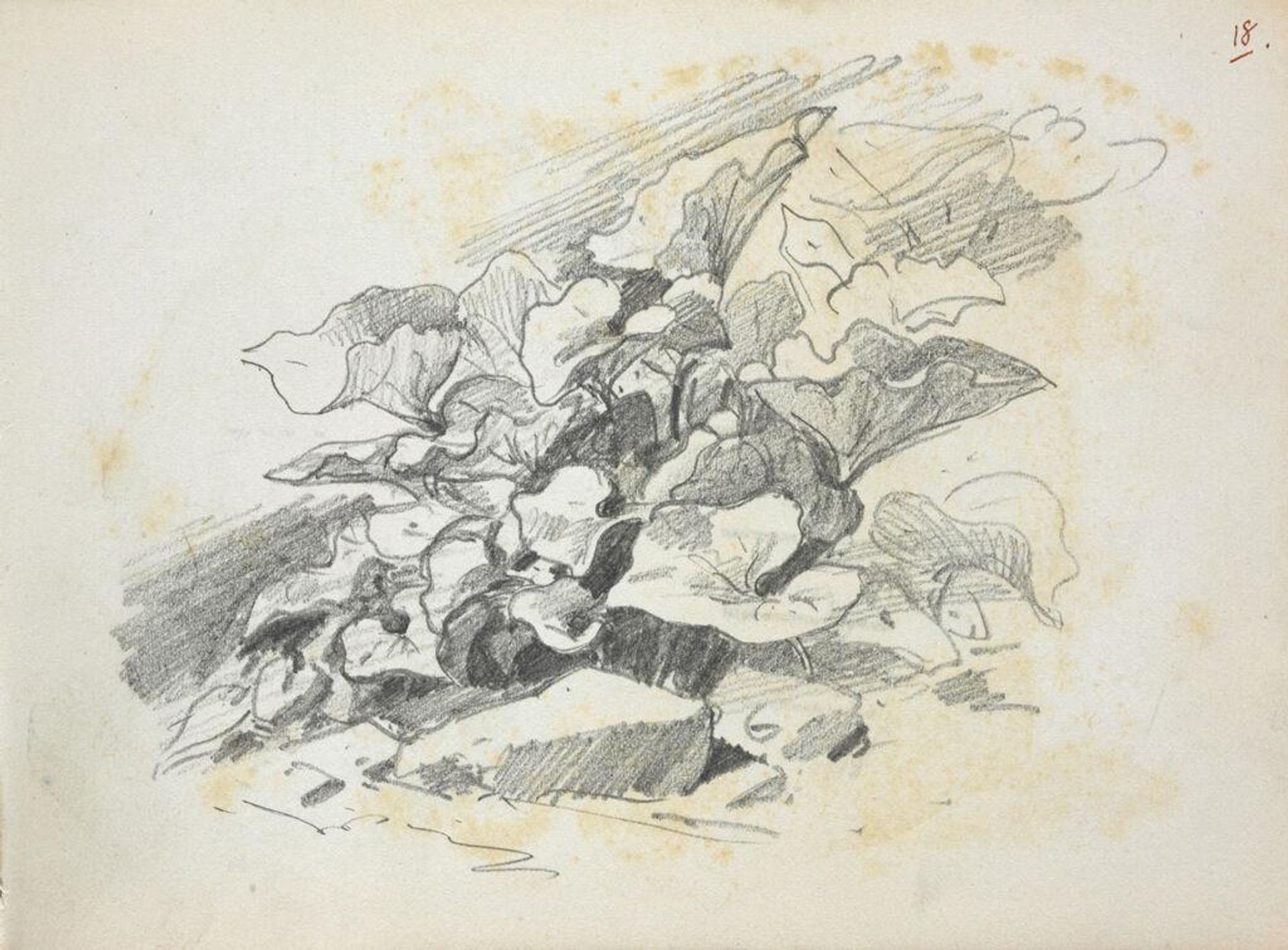 Foliage Studies by John Singer Sargent