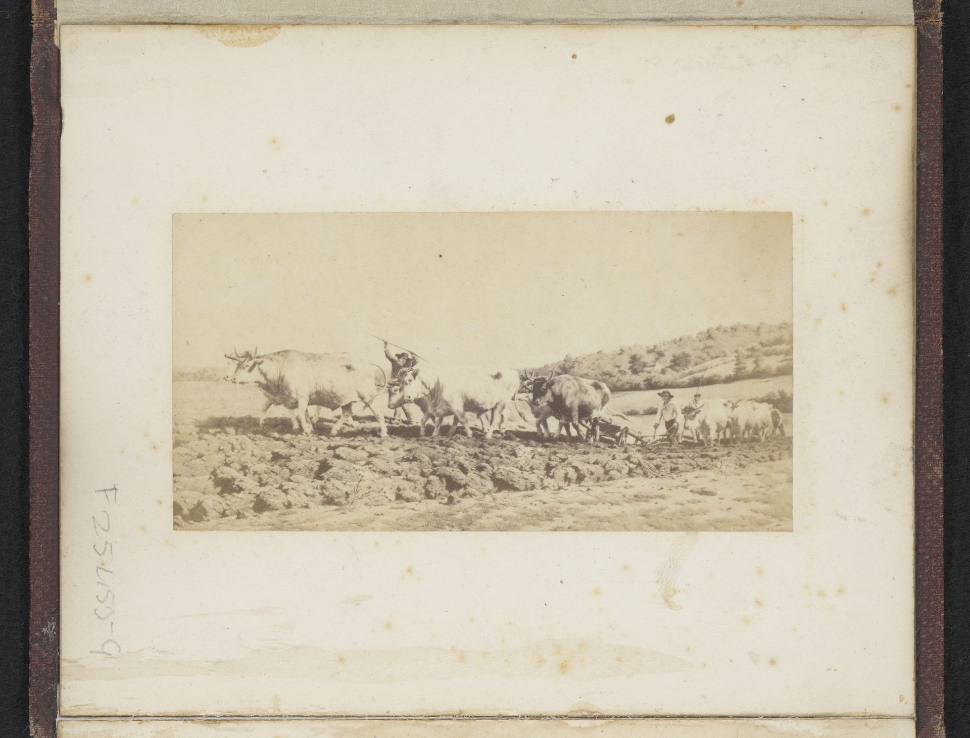 Fotoreproductie van het schilderij Ploegen in de Nivernais van Rosa Bonheur by Anonymous