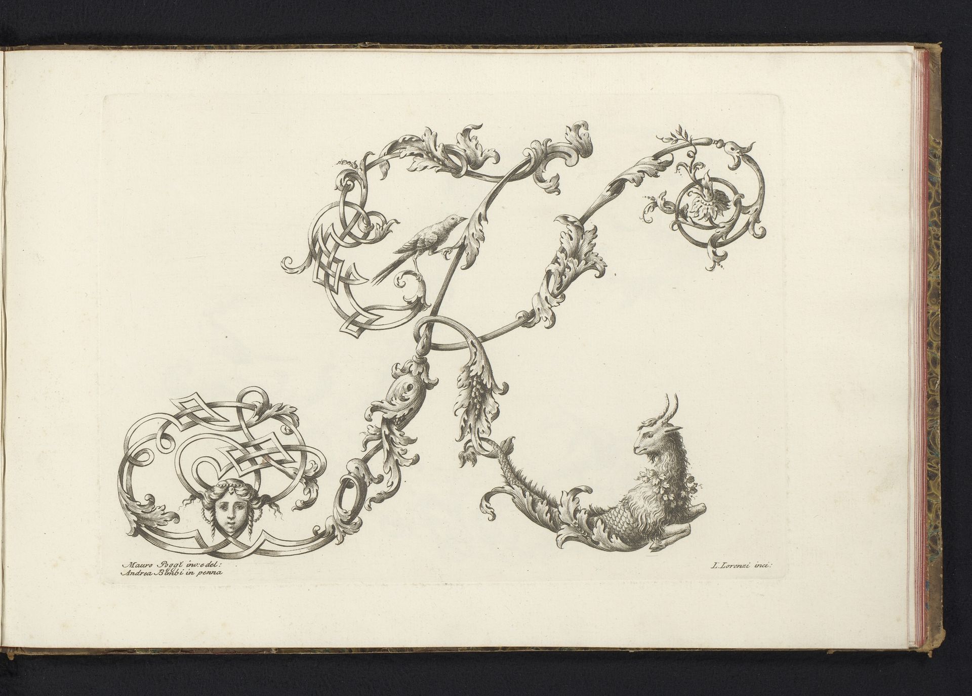 Ornamentele letter K by Lorenzo Lorenzi