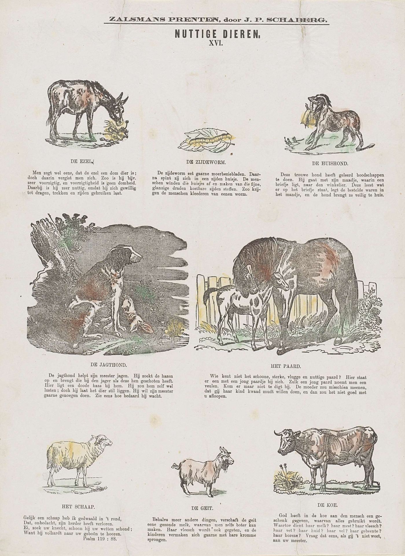 Nuttige dieren by Gerhardus Philippus Zalsman