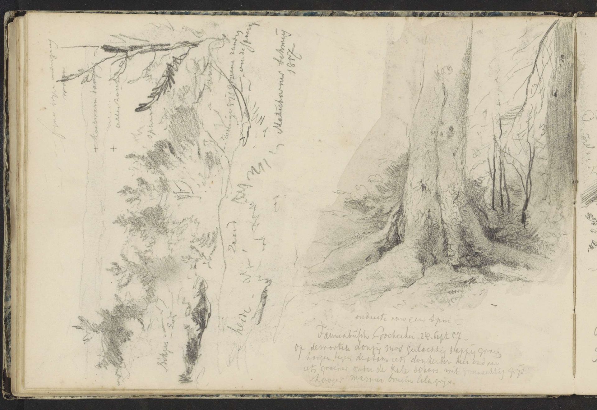 Gocher heide en sparren in het Tannenbusch by Johannes Tavenraat