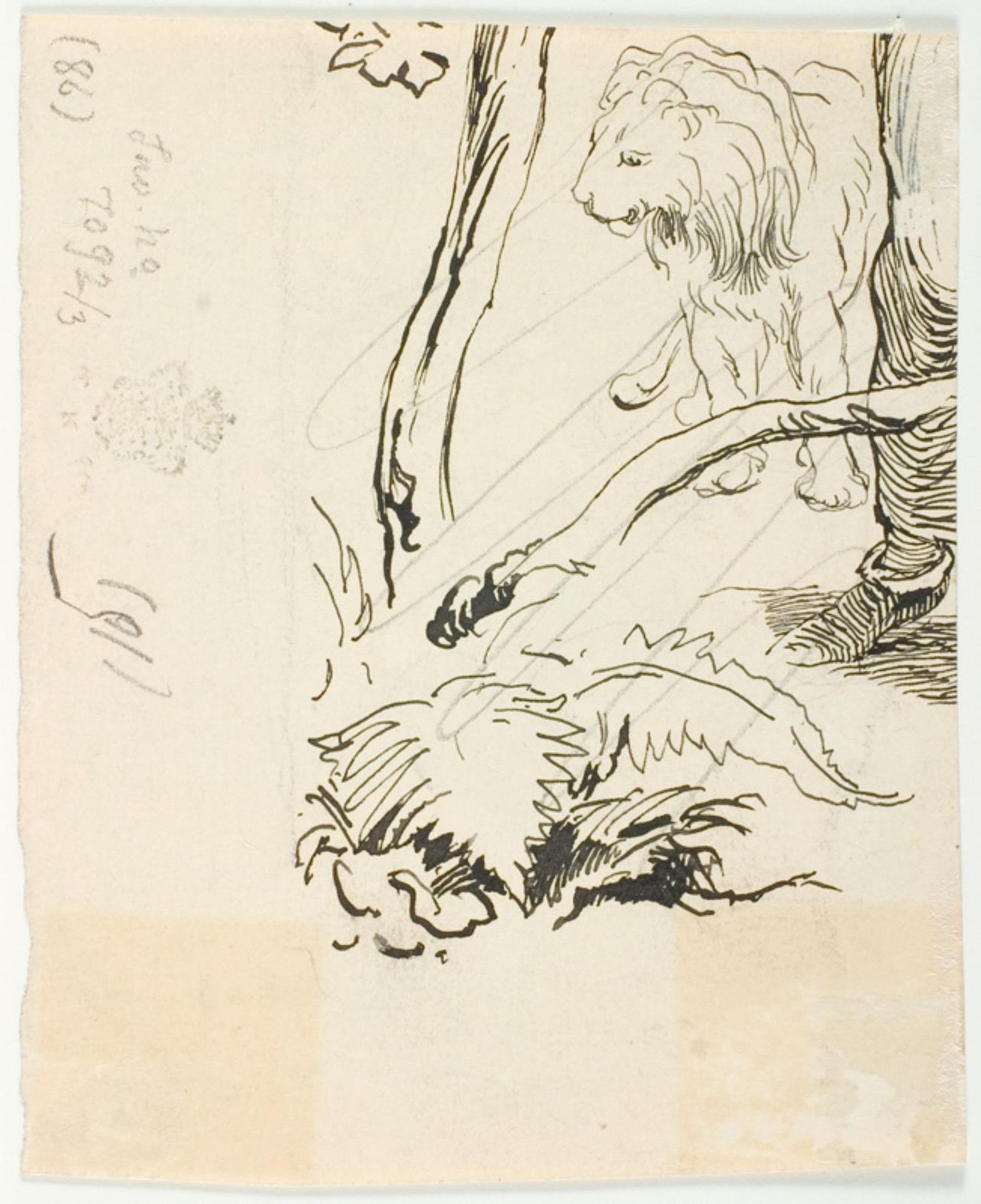 En løve, planter og et ben by Lorenz Frølich