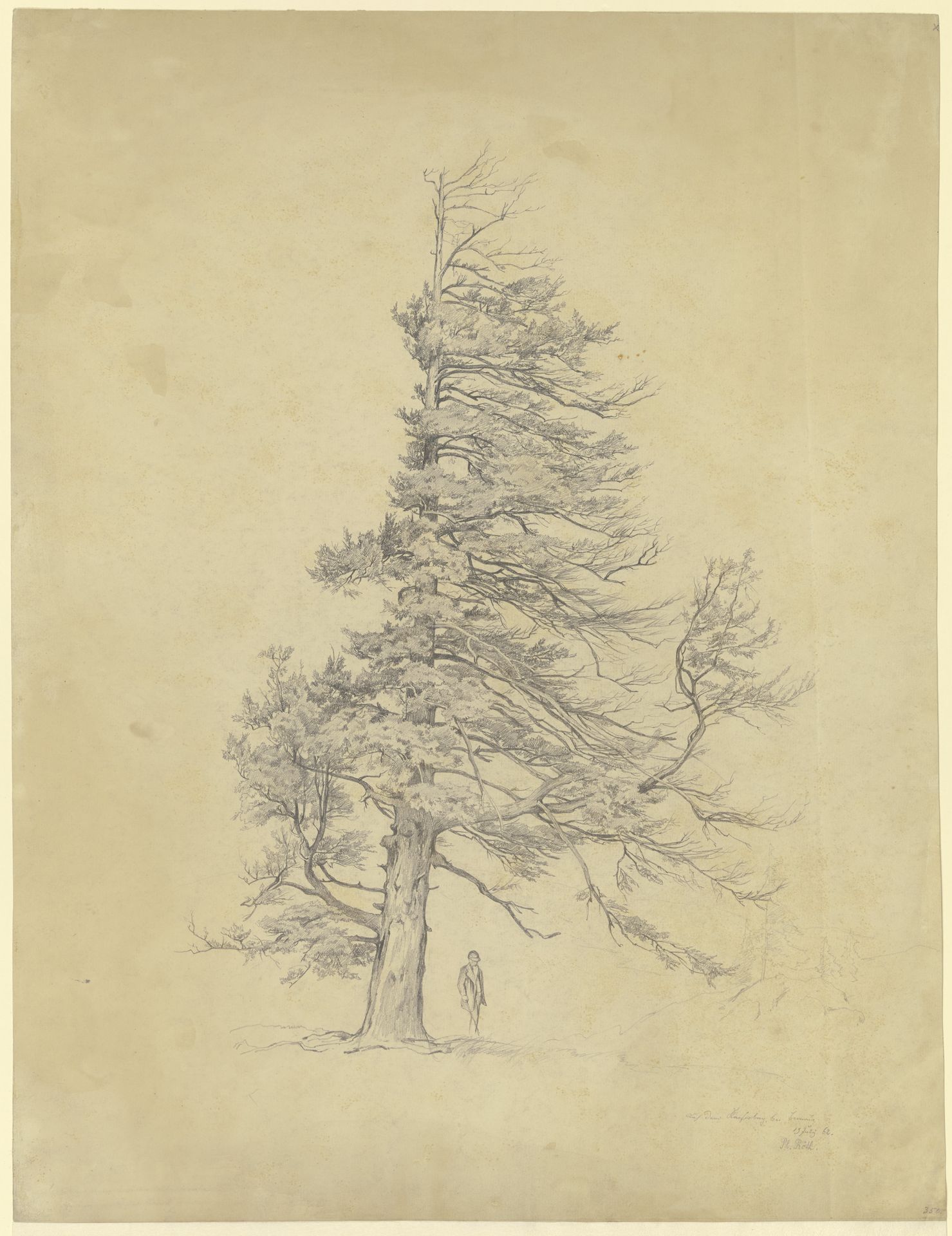 Mann unter einer WetterfichteSchwarzwald, Bernau - Kaiserberg by Philipp Röth