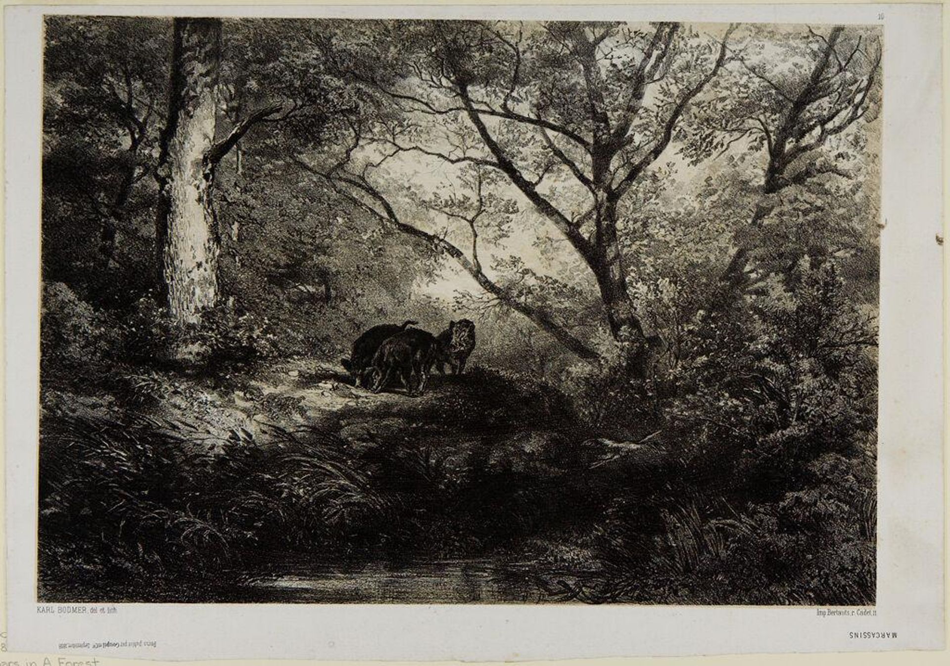 Wild Boars in a Forest by Karl Bodmer