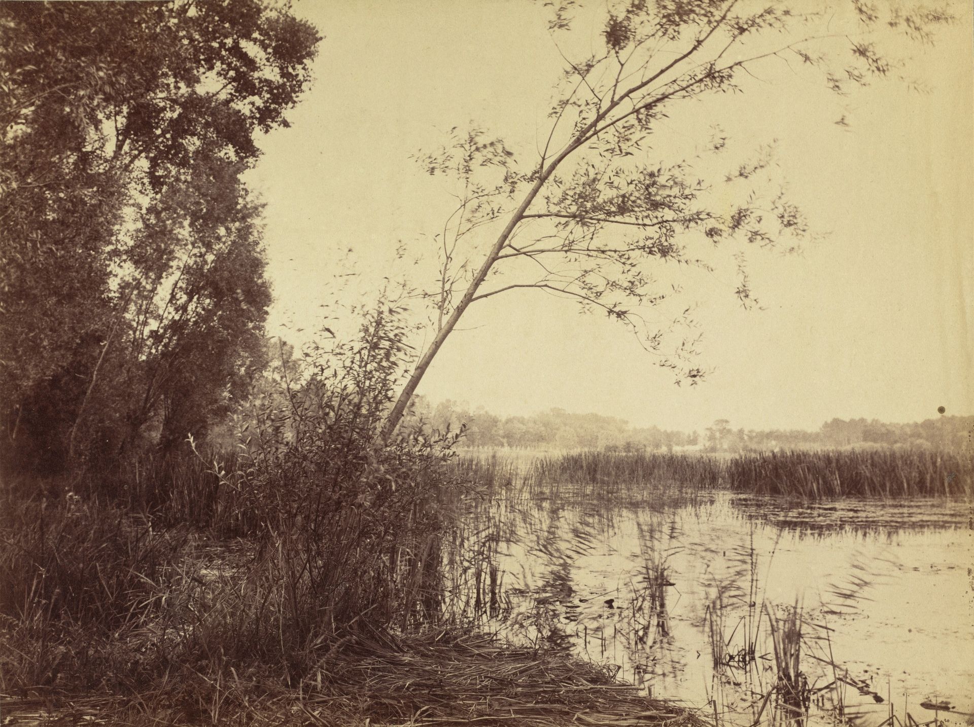 Marais de Fampoux by Eugène Cuvelier