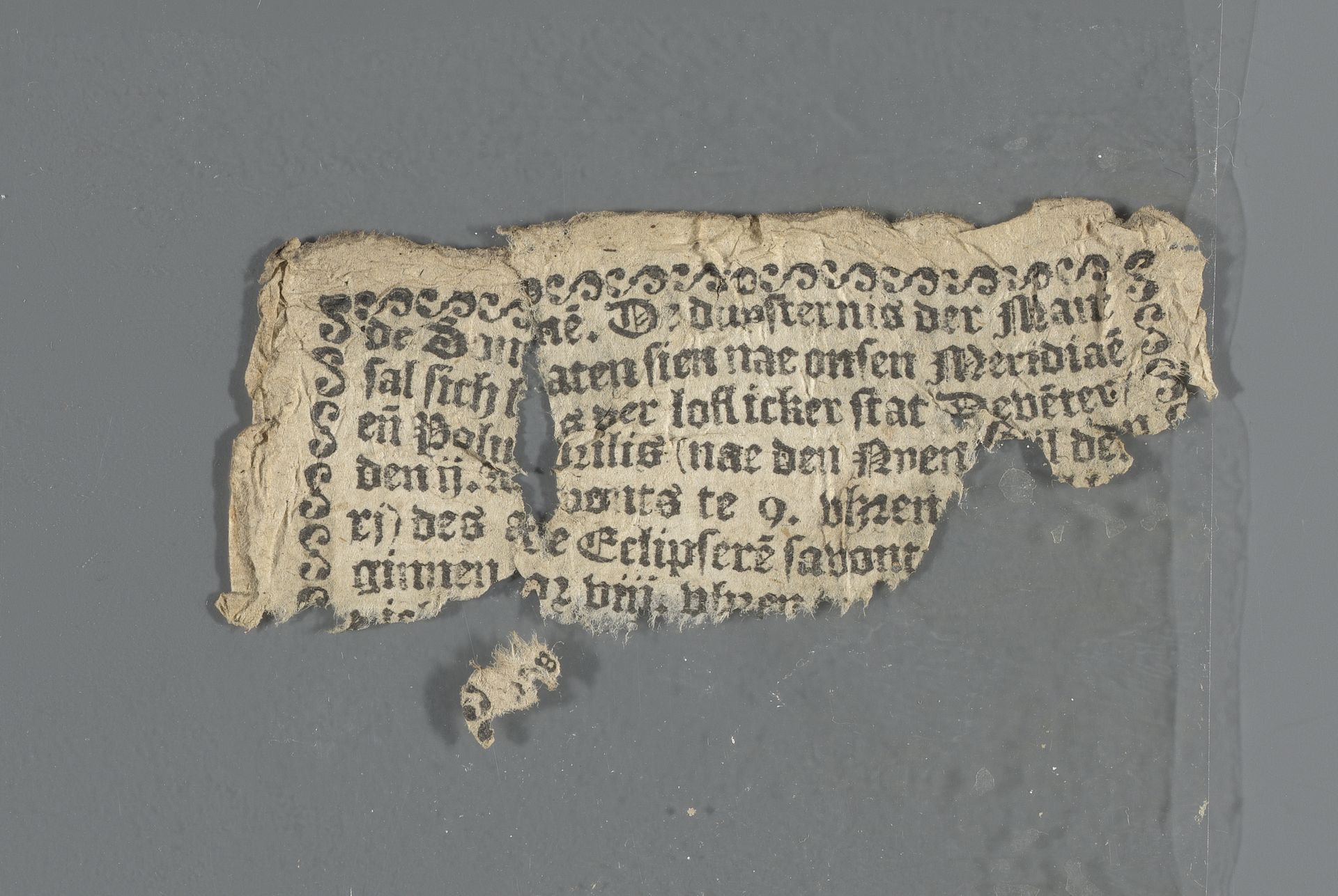 Bladzijde uit een Deventer almanak voor het schrikkeljaar 1596 by Anonymous