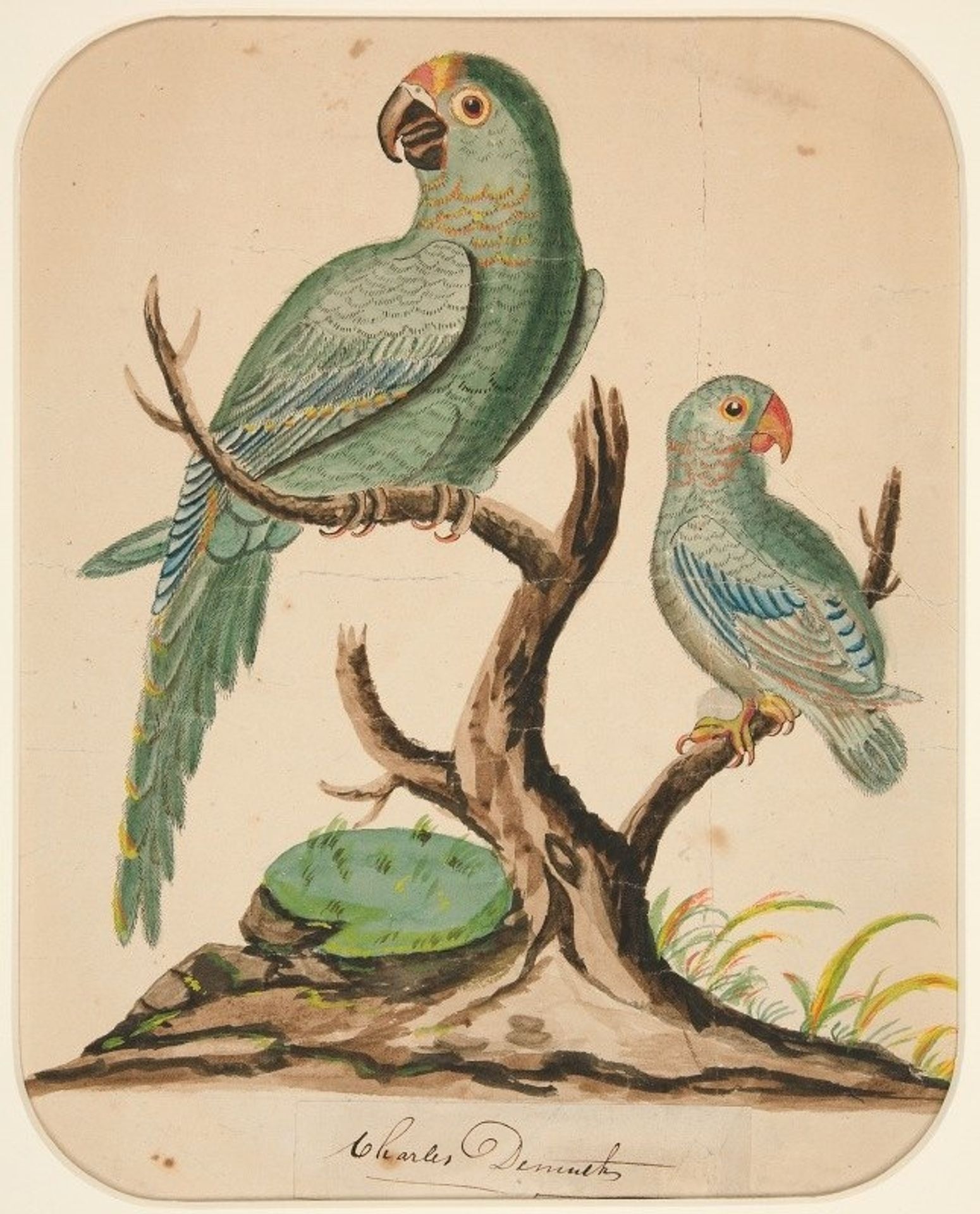 Two Parrots on a Barren Tree by Charles Demuth