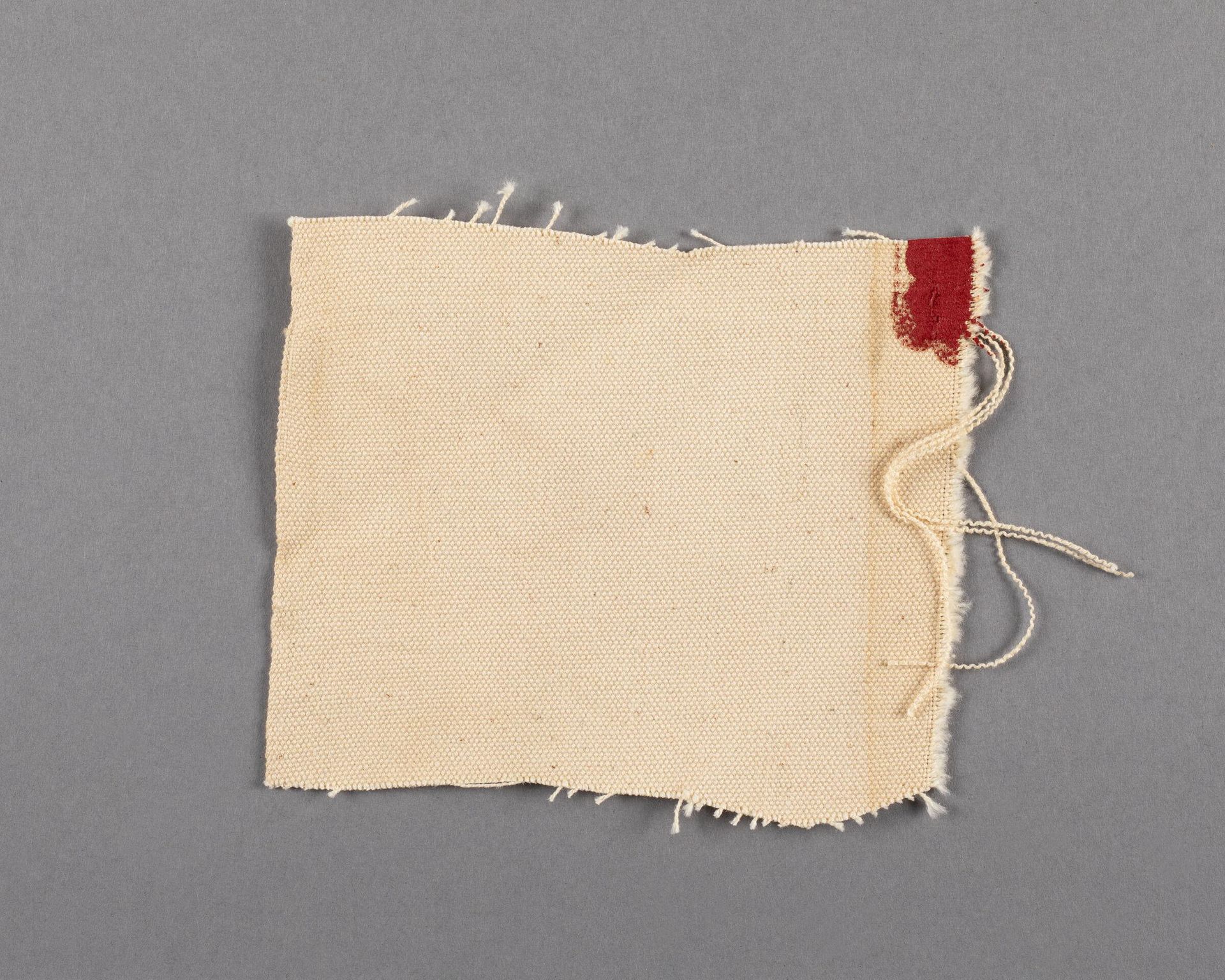 Painted canvas fragment by Barnett Newman