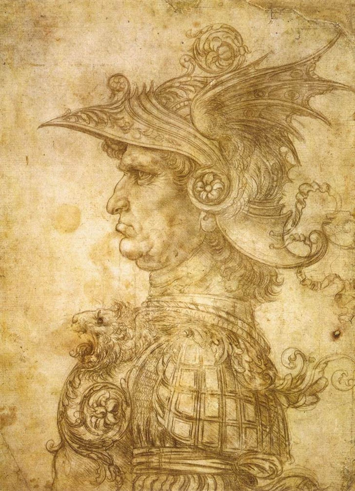 Profile of a warrior in helmet by Leonardo da Vinci