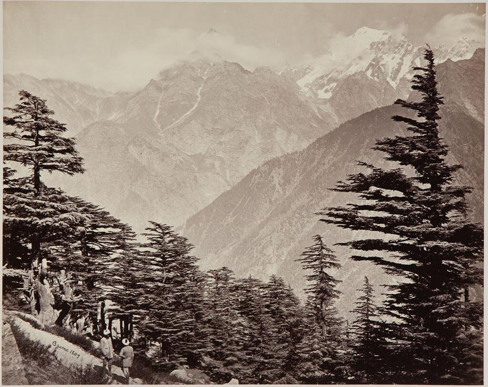 View Near Chini Mountains, With Deodars in Foreground by Samuel Bourne