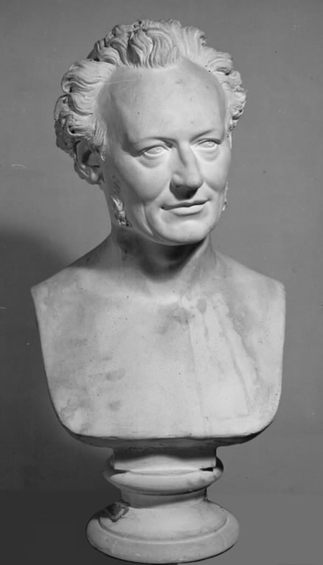 Zoologen, professor Japetus Steenstrup by H.W. Bissen